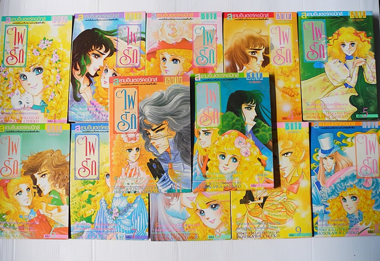 ไฟรัก 12 เล่มจบ / Hosokawa Chieko