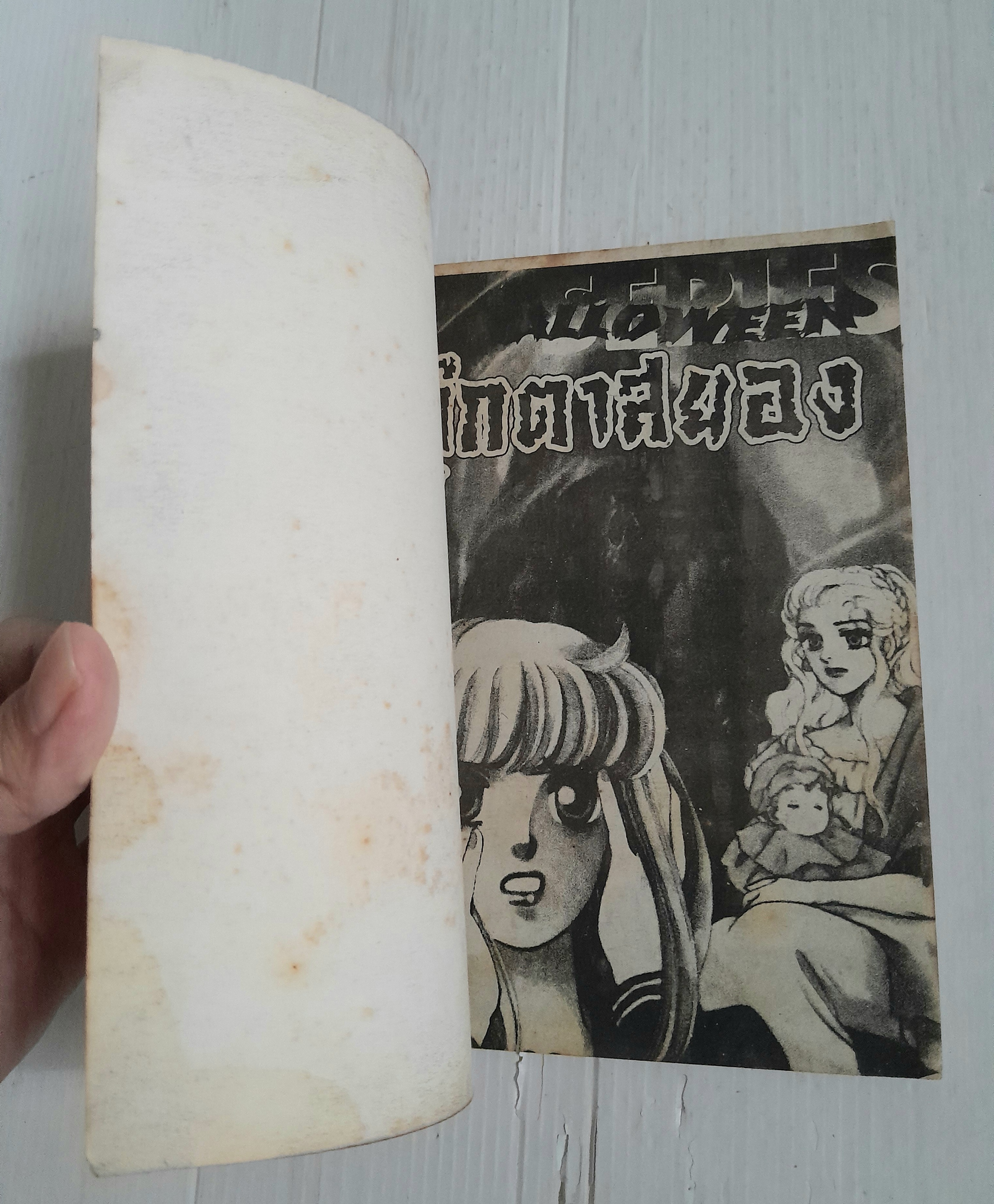 ตุ๊กตาสยอง (เล่มเดียวจบ)