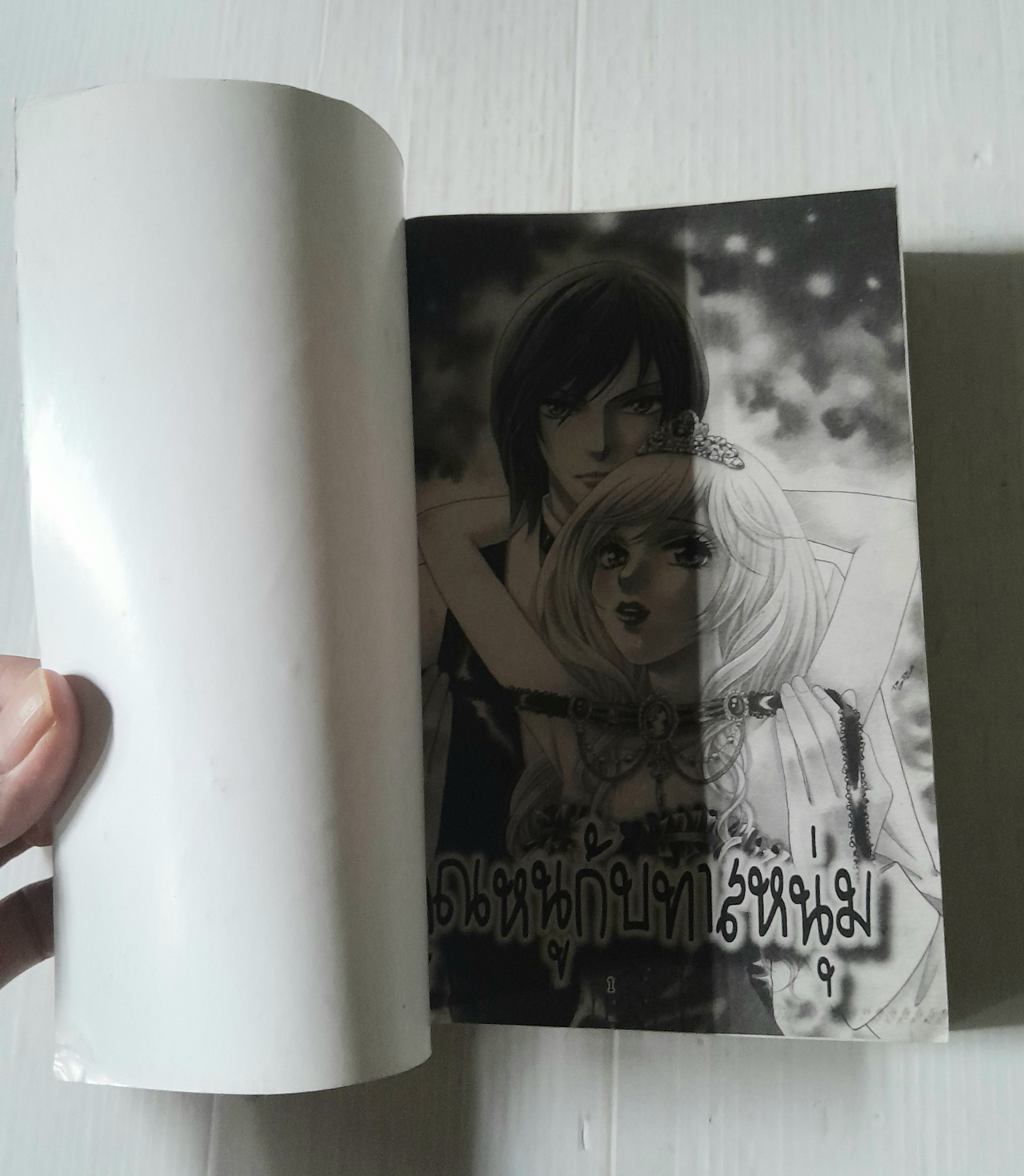 คุณหนูกับทาสหนุ่ม (เล่มเดียวจบ)