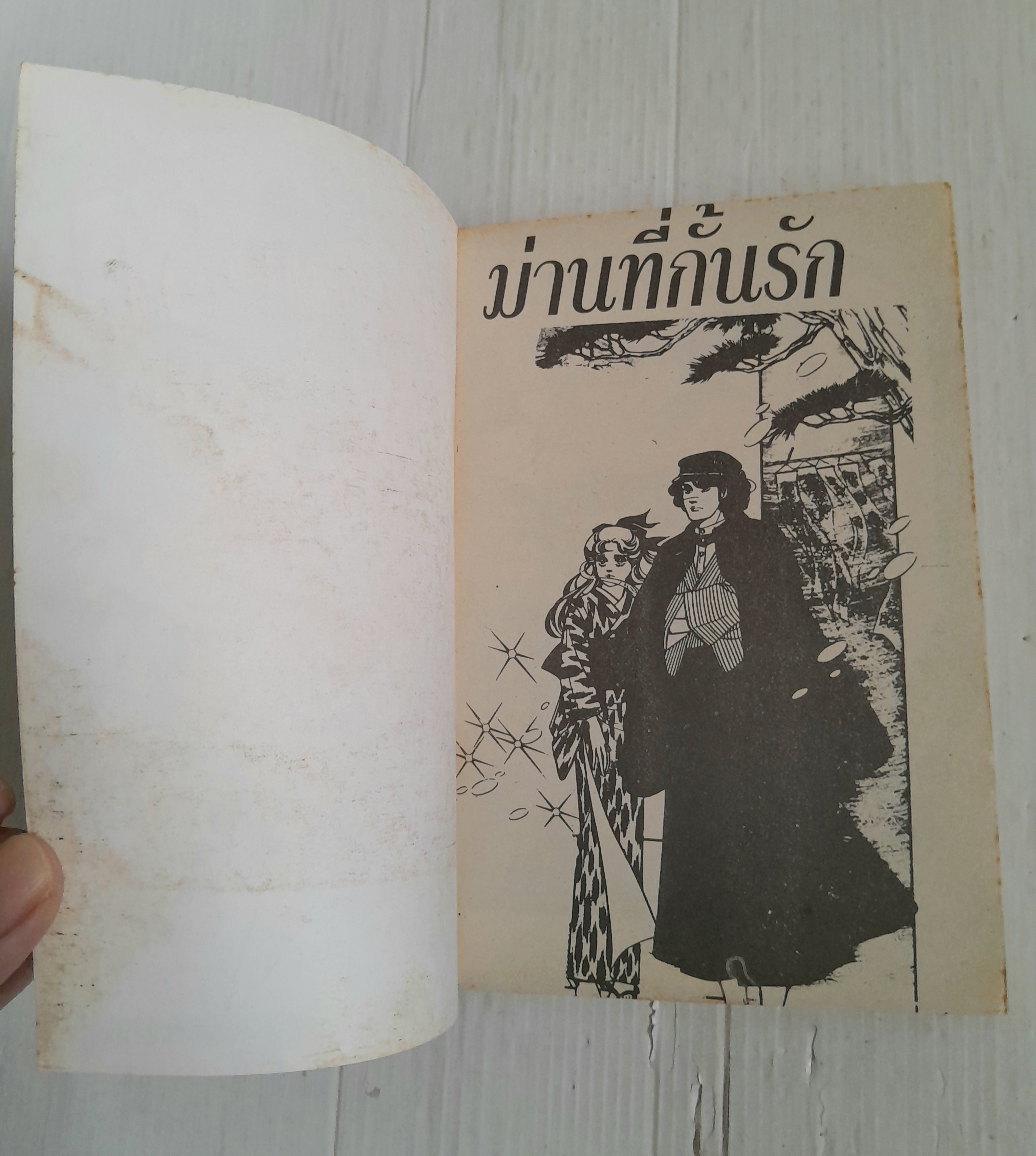 ม่านที่คั่นรัก (เล่มเดียวจบ) / ชิบาตะ อายูโกะ