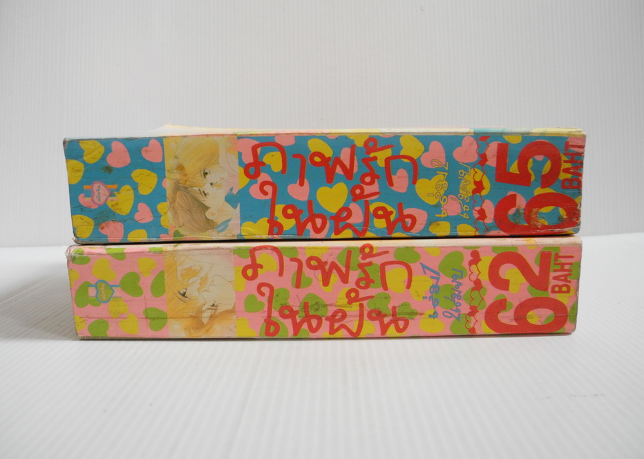 ภาพรักในฝัน 2 เล่มจบ