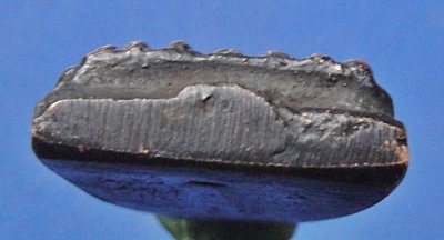 หลวงปู่ทวด วักคอกหมู