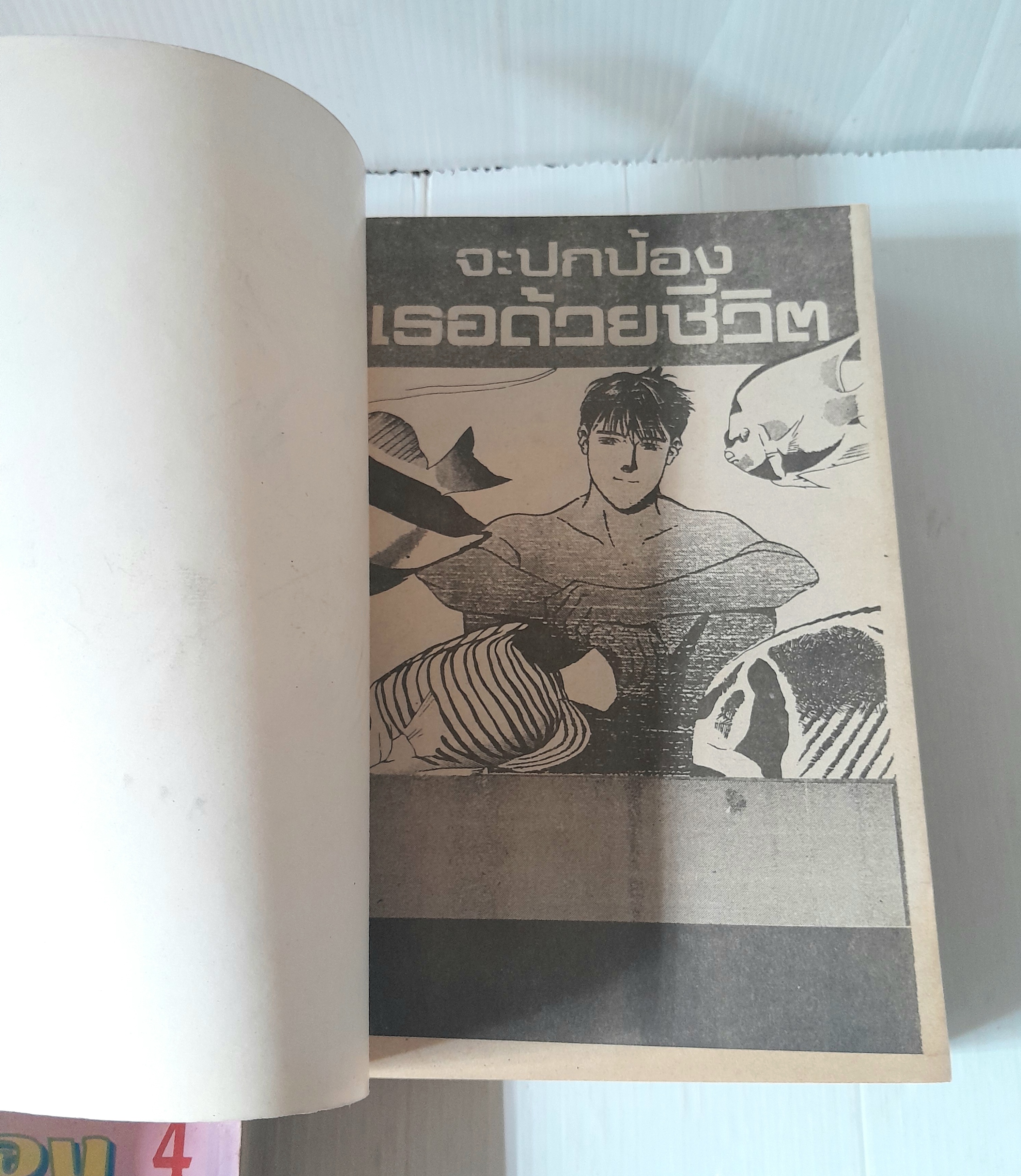 จะปกป้องเธอด้วยชีวิต 4 เล่มจบ