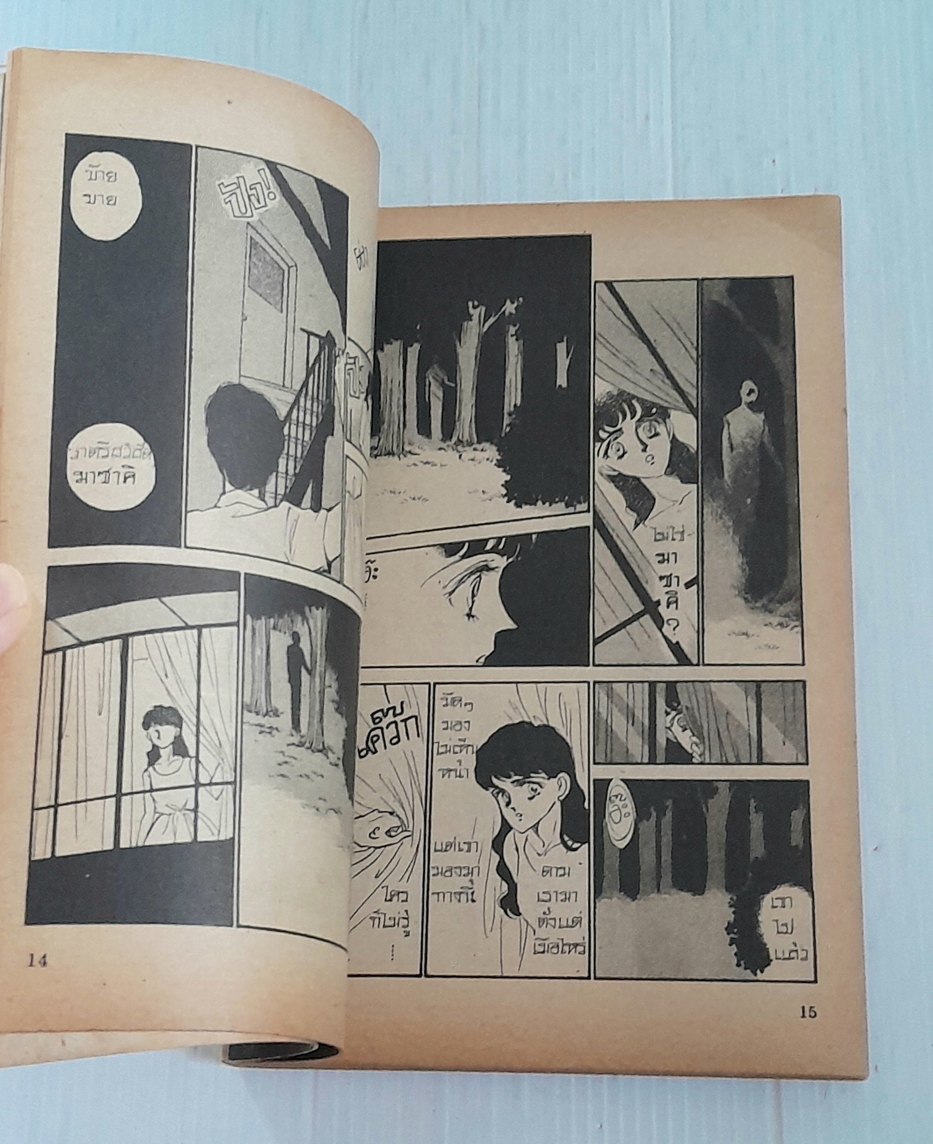 หลอน? (เล่มเดียวจบ)