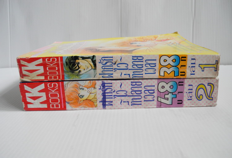 ฝากรักไว้ที่ปลายเวลา 2 เล่มจบ / ฮิคาวะ เคียวโกะ