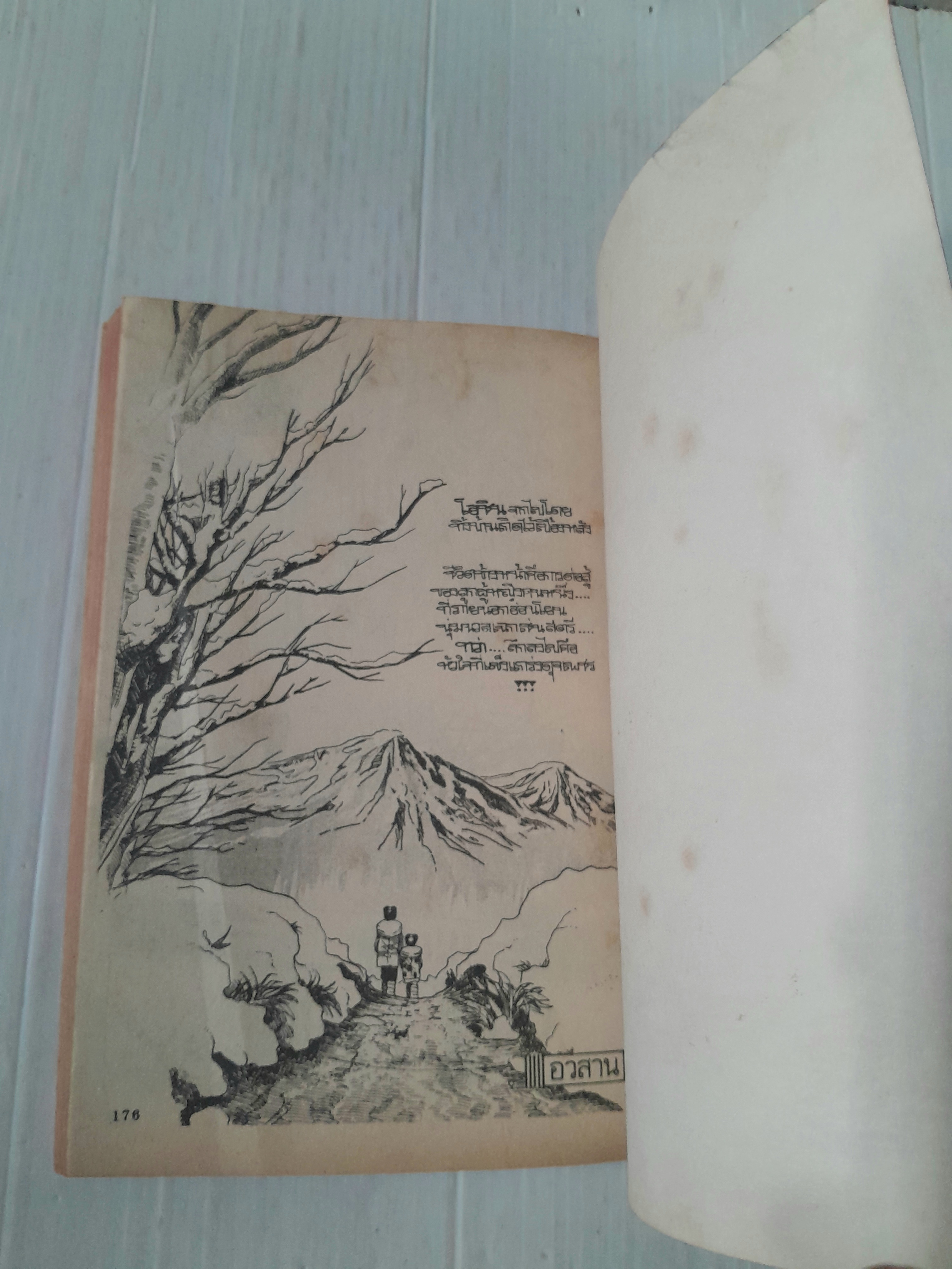 สงครามชีวิตโอชิน เล่ม 2 (2 เล่มจบ)