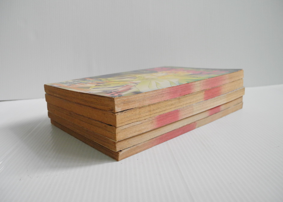 ปีกเทพเจ้า 5 เล่มจบ