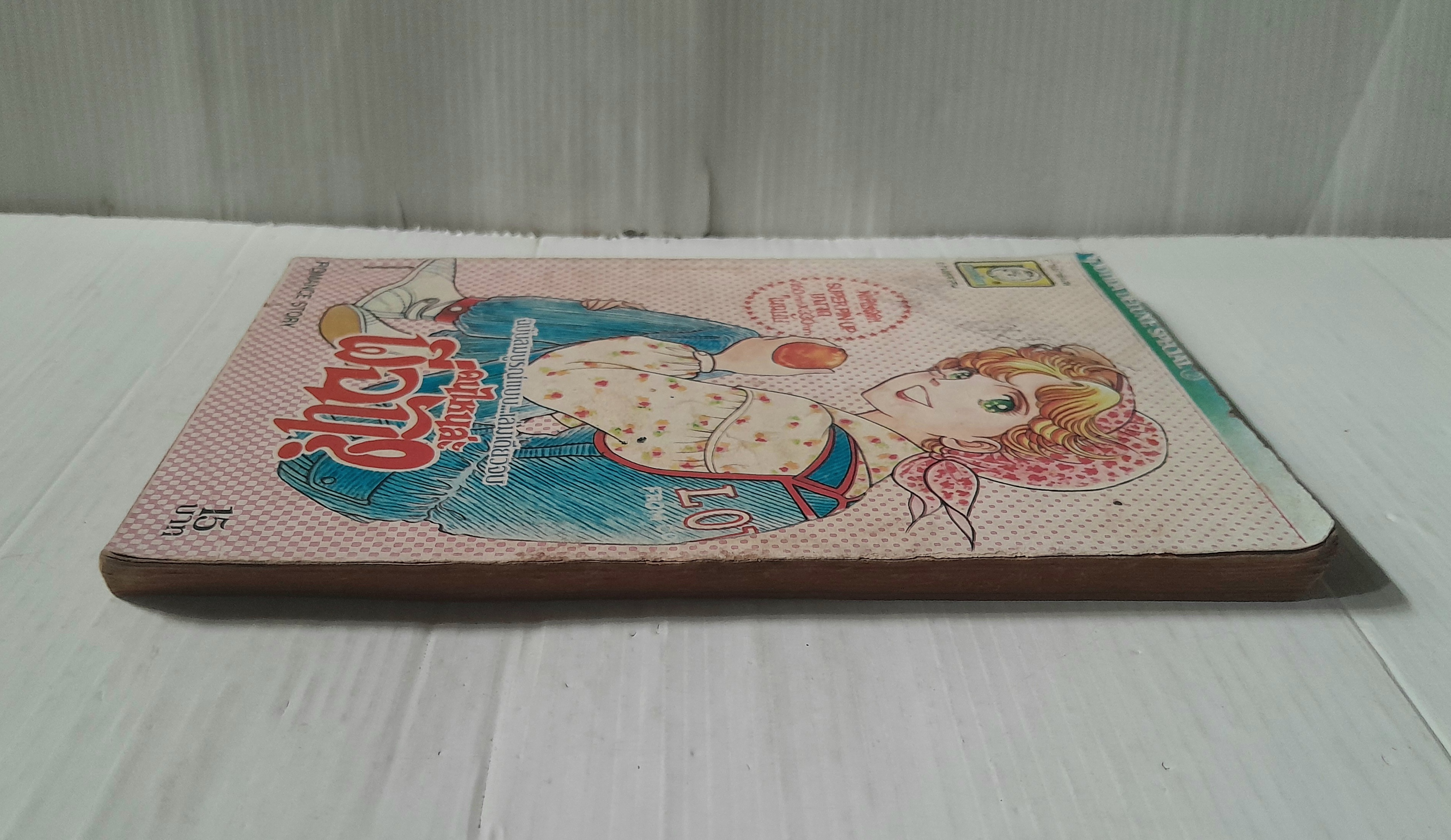 คนไหนล่ะพี่ฉัน? (เล่มเดียวจบ) / Shoji Yoko