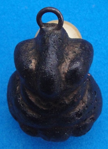 พญาการะเวก (ราหูอมจันทร์)