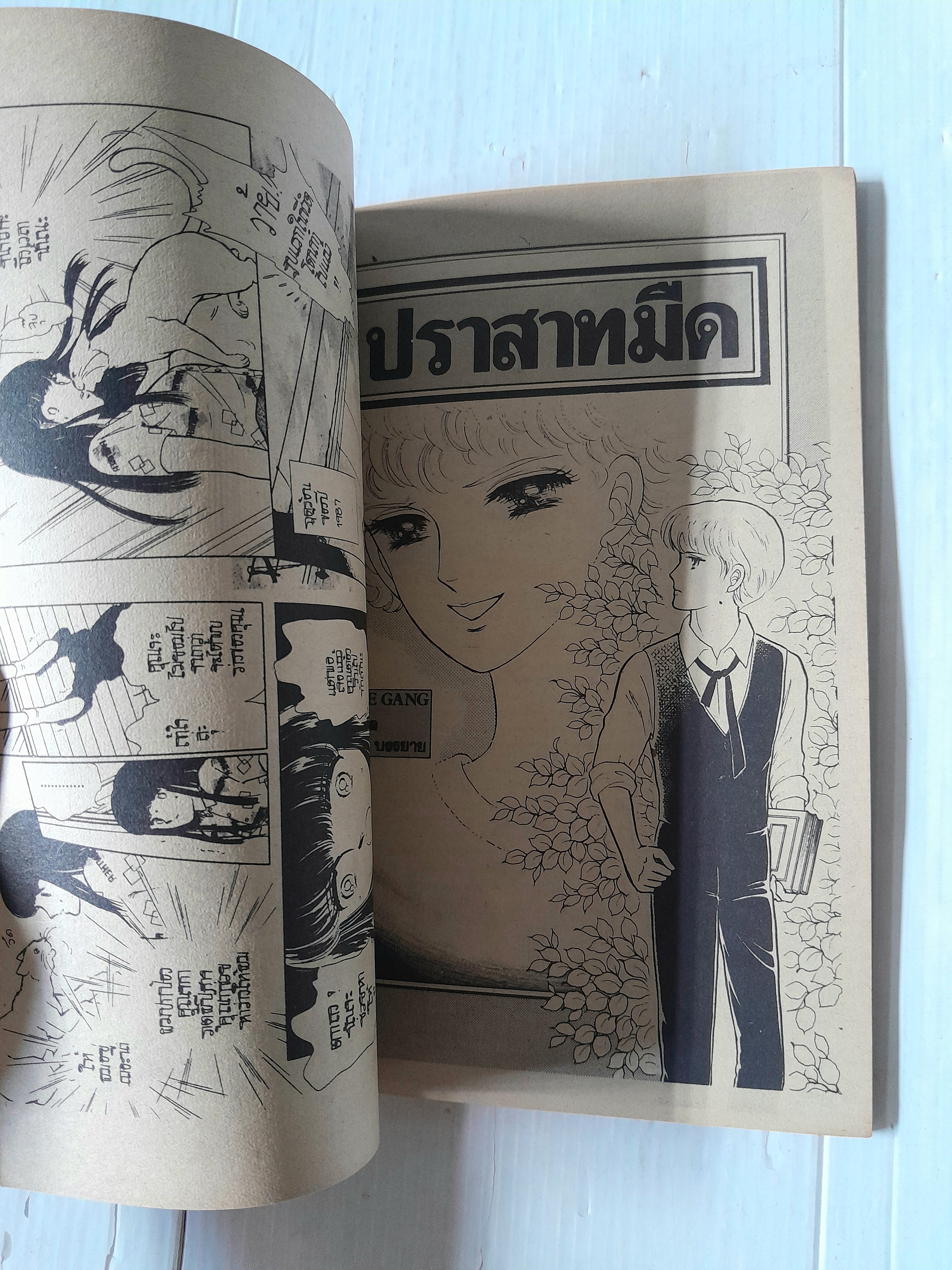 มันคือแมวอาถรรพ์ (เล่มเดียวจบ) / Chinohara Chie