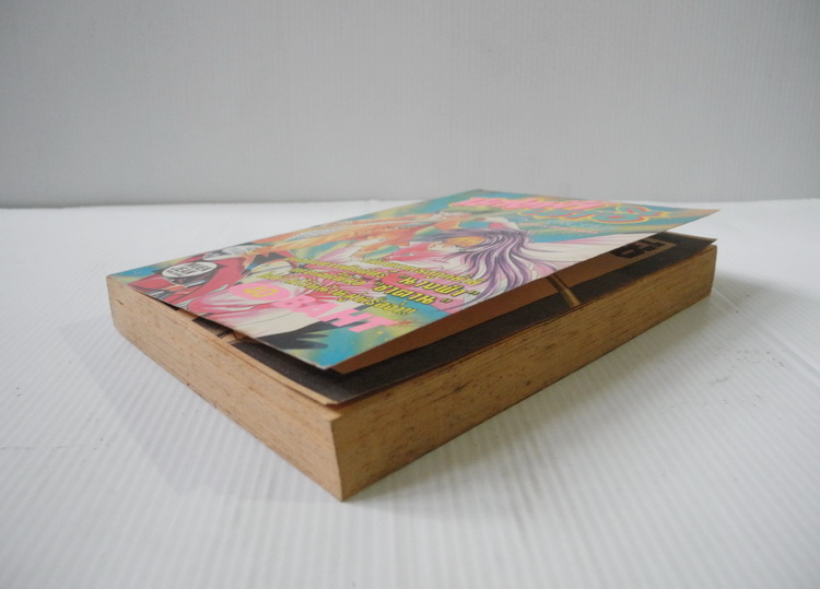 นางฟ้านาซี (เล่มเดียวจบ)