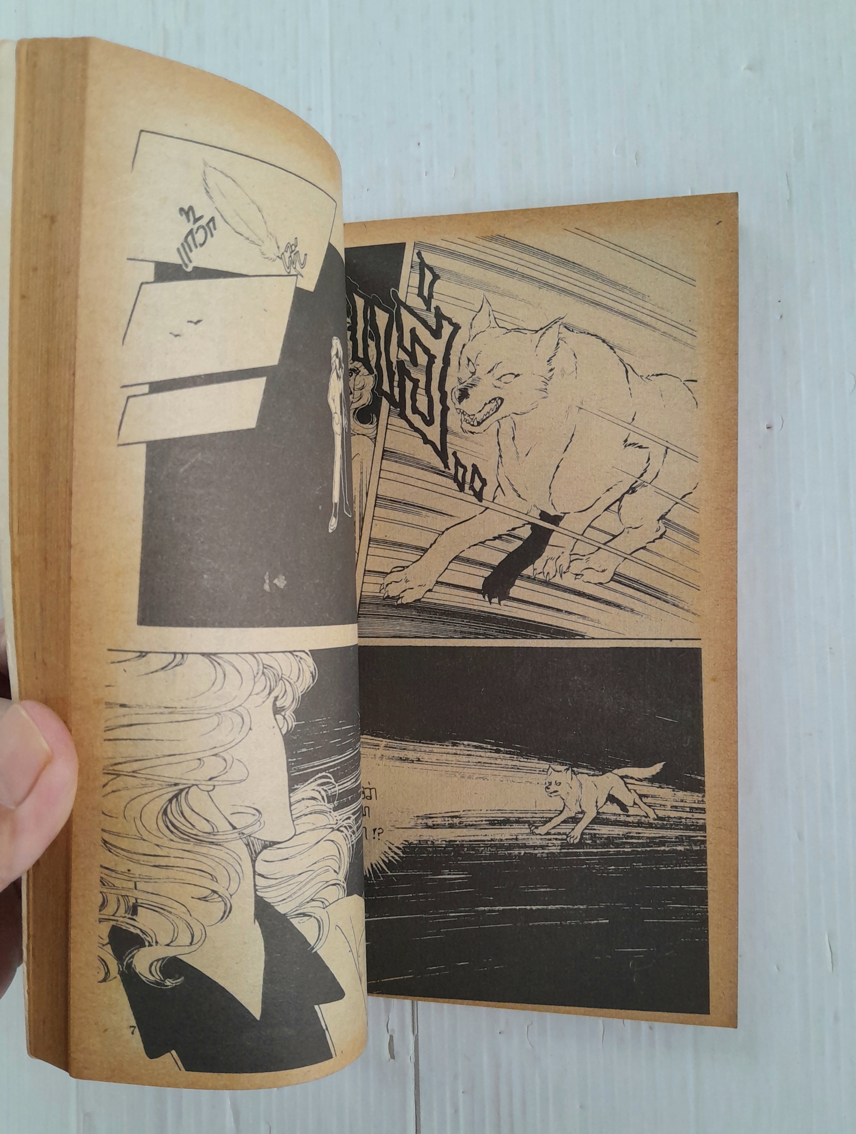 กระดาษพับต้องสาป (เล่มเดียวจบ) / Kasakabe Yoko