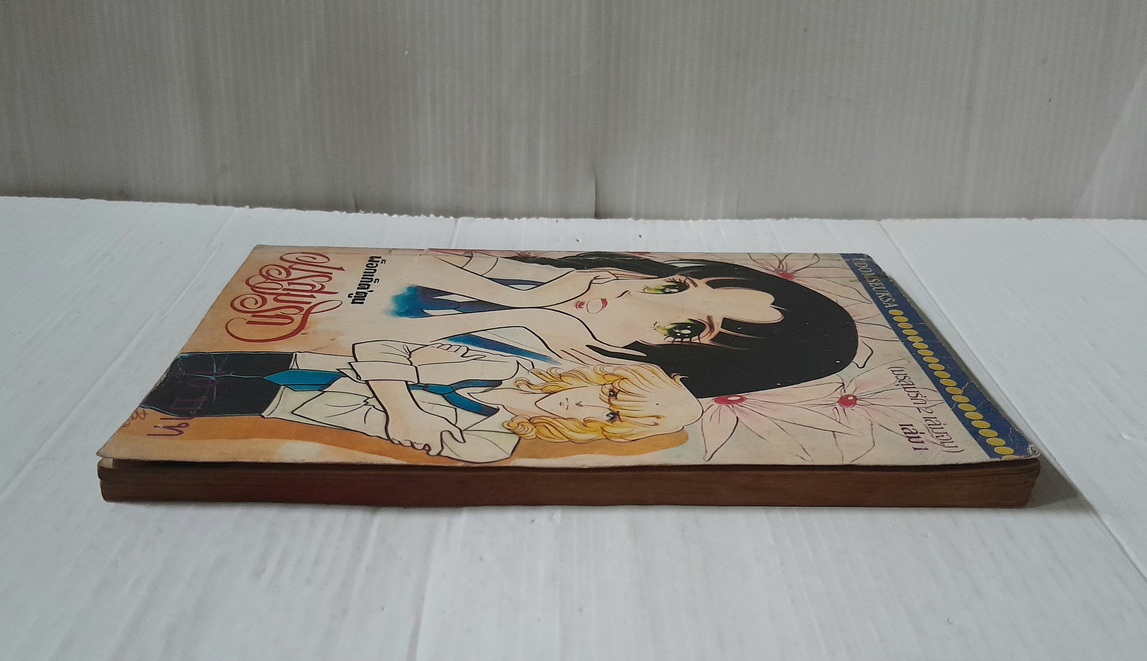 มรสุมรัก เล่ม 1 (2 เล่มจบ)