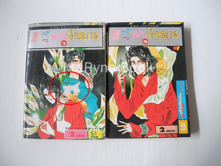2 ซี้คู่แสบกำราบมาร 2 เล่มจบ / HAZUKI SHINOBU