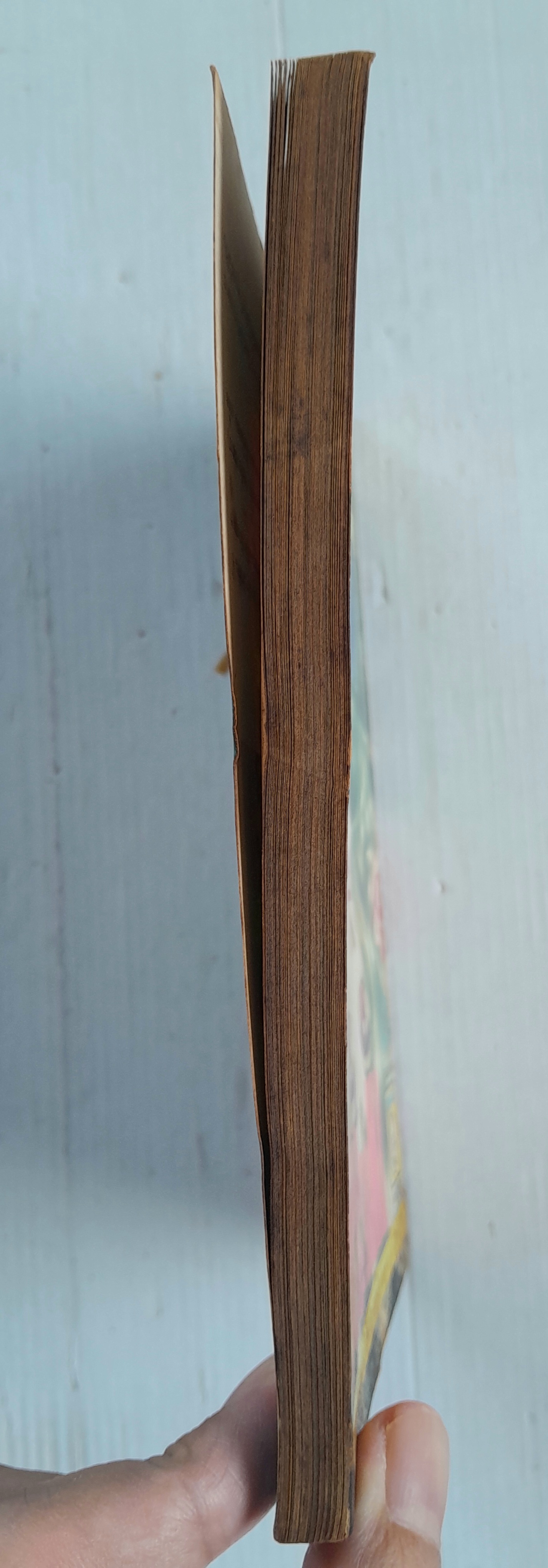 เพชรสีเลือด (เล่มเดียวจบ) / ทากาชินะ เรียวโกะ