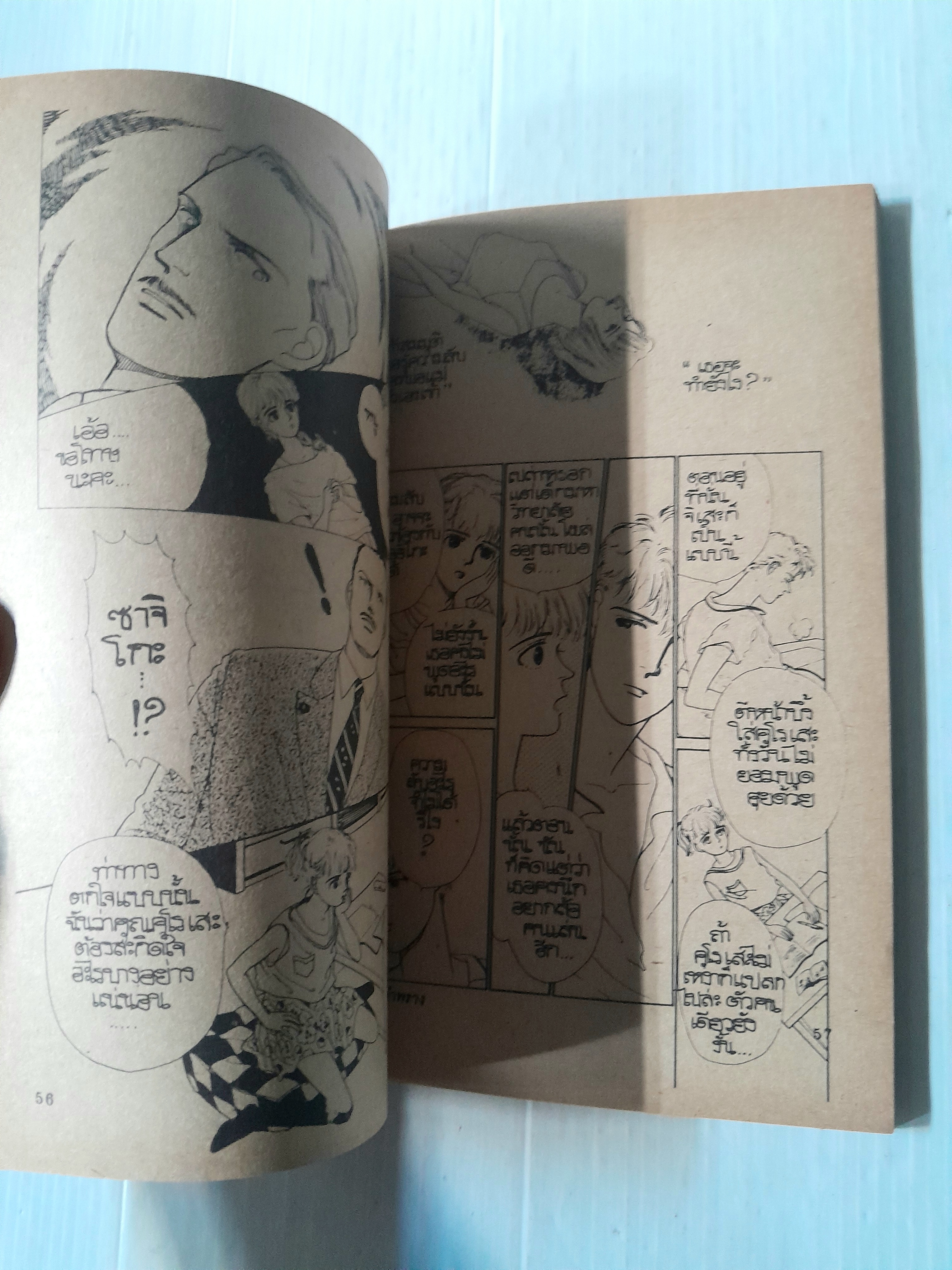 ฆาตกรรมอำพราง (เล่มเดียวจบ) / Yachi Emiko