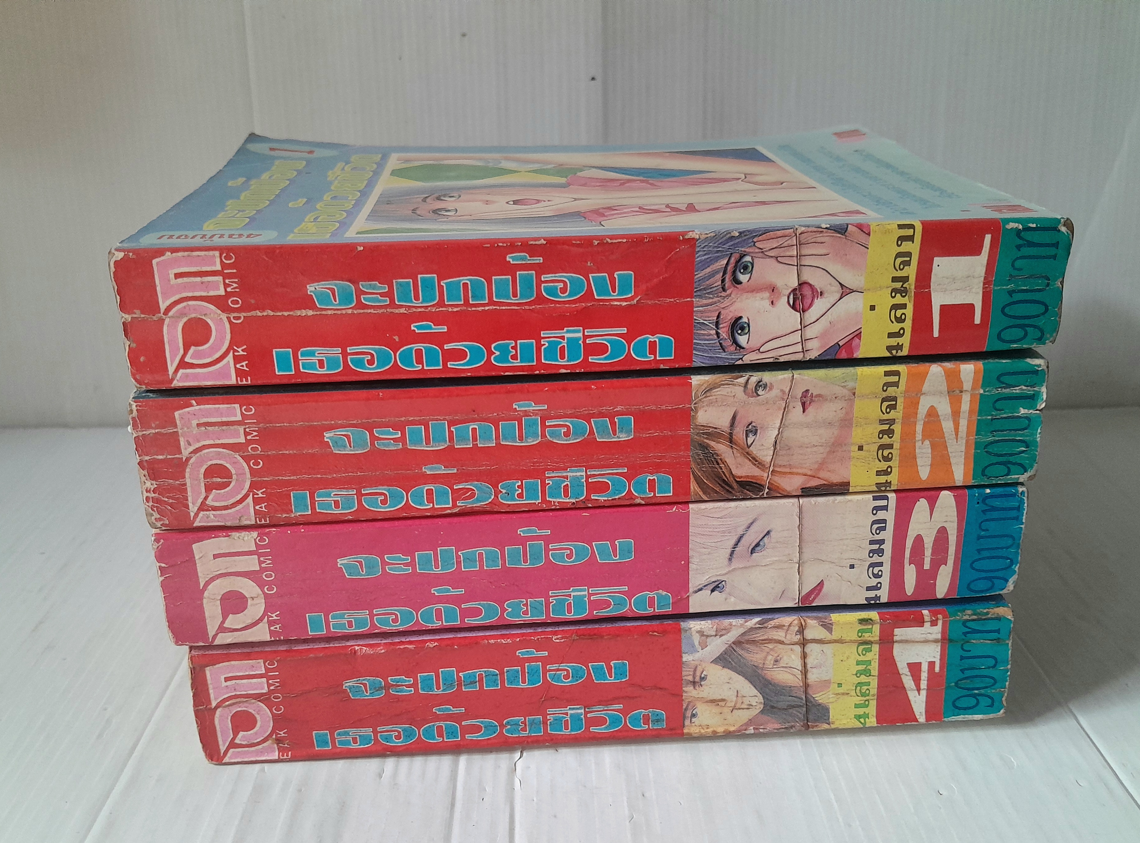 จะปกป้องเธอด้วยชีวิต 4 เล่มจบ