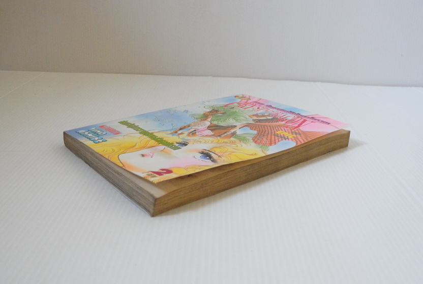 Crystal Dragon ตอนค้นหาสมบัติมังกรโบราณ เล่ม 2 / Yuho Ashibe