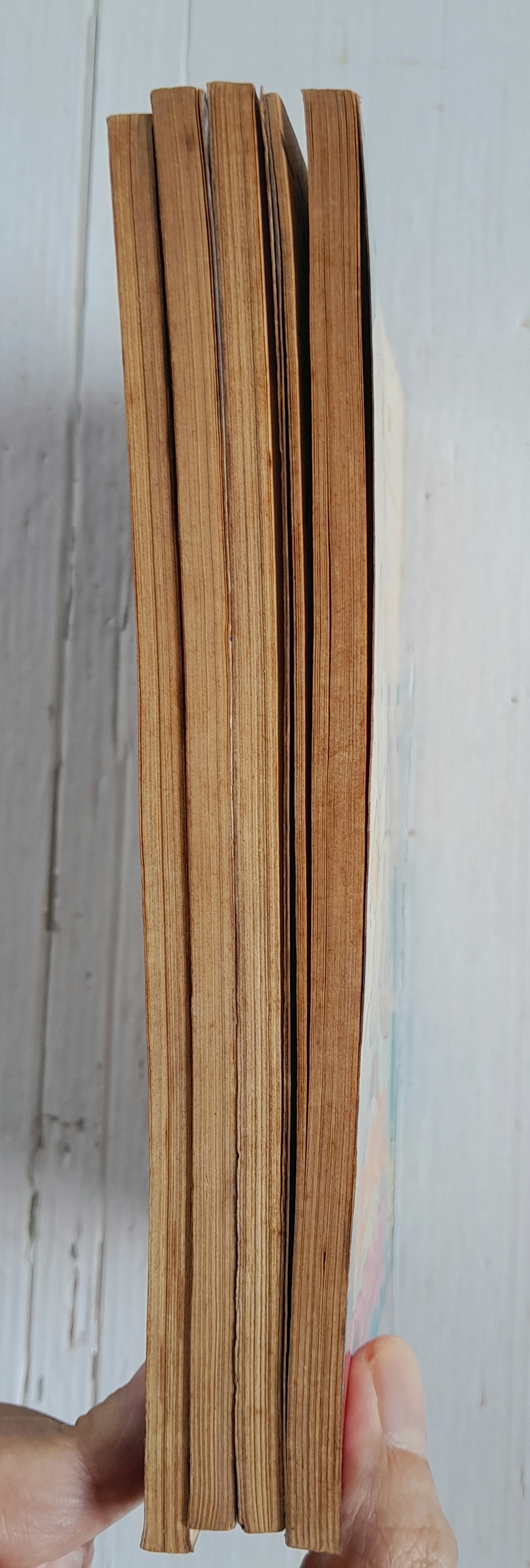 สามสิงห์เจอจอมแสบ 4 เล่มจบ / ฮิคาวะ เคียวโกะ