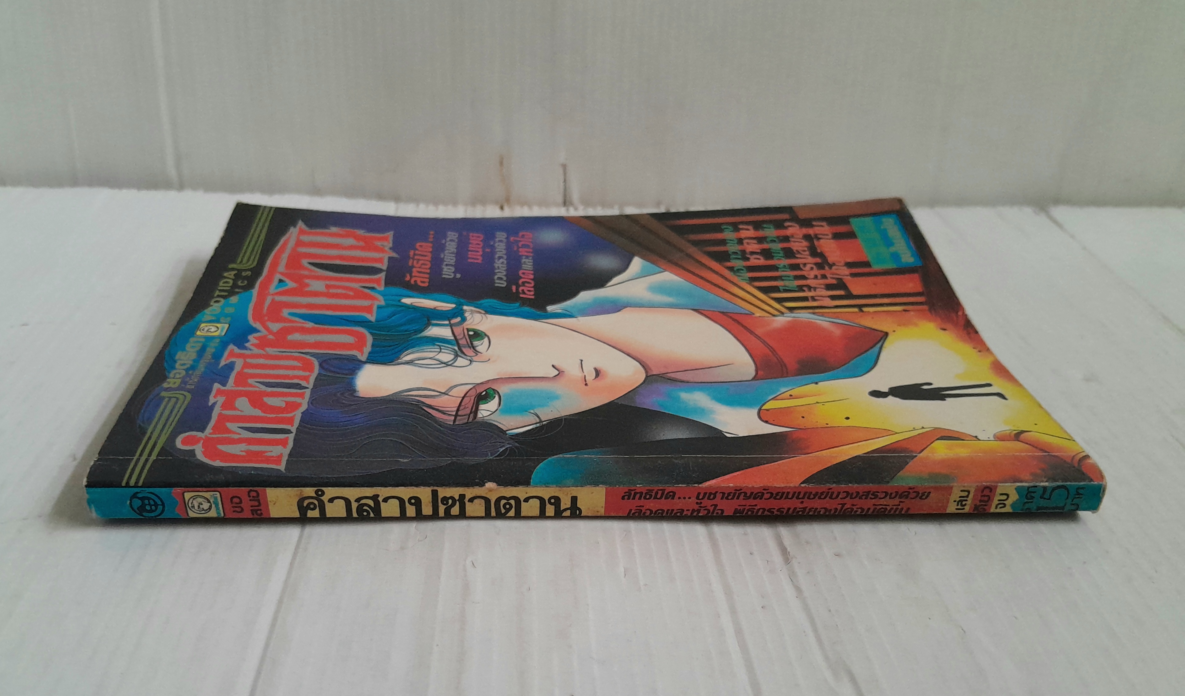 คำสาปซาตาน (เล่มเดียวจบ) / Noriko Swgawa