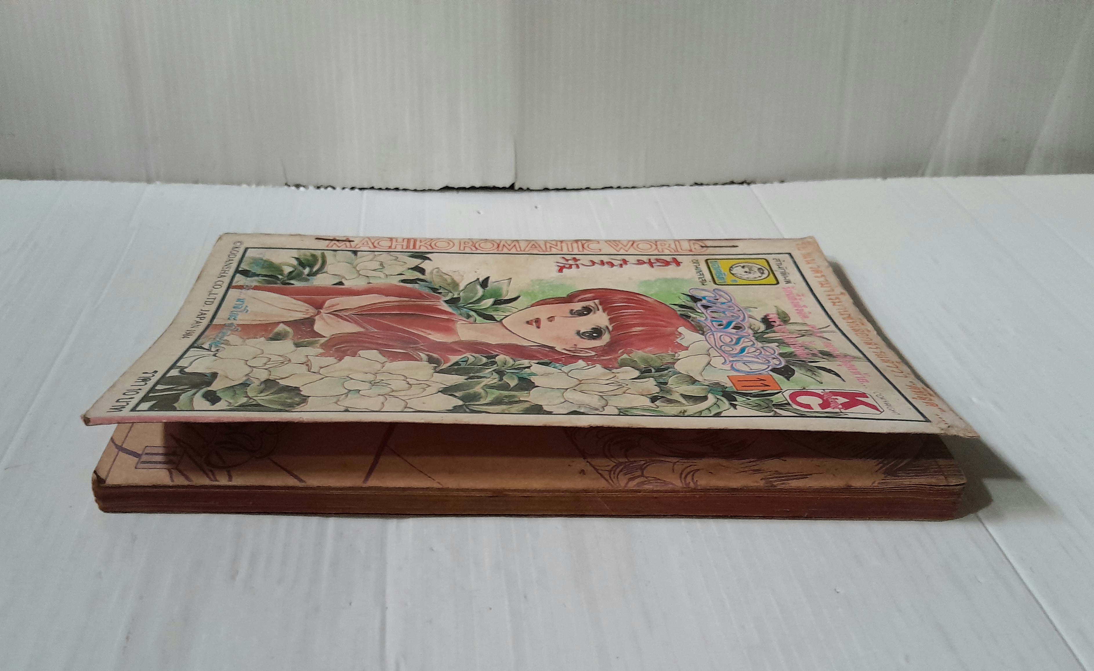 สายธารรัก เล่ม 11 / มาจิโกะ ซาโตนะกะ