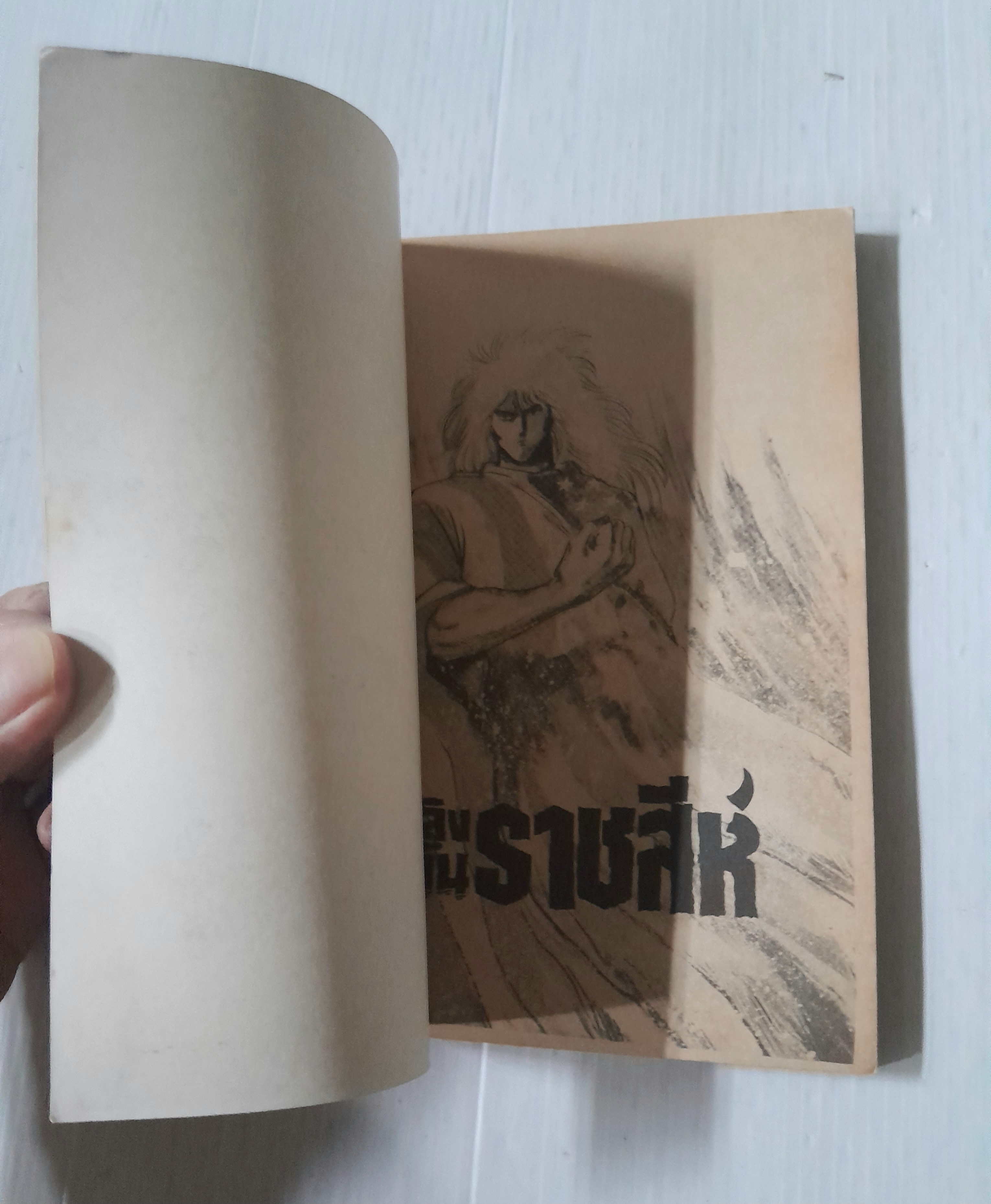 ้เพลิงแค้นราชสีห์ เล่ม 2 (2 เล่มจบ)