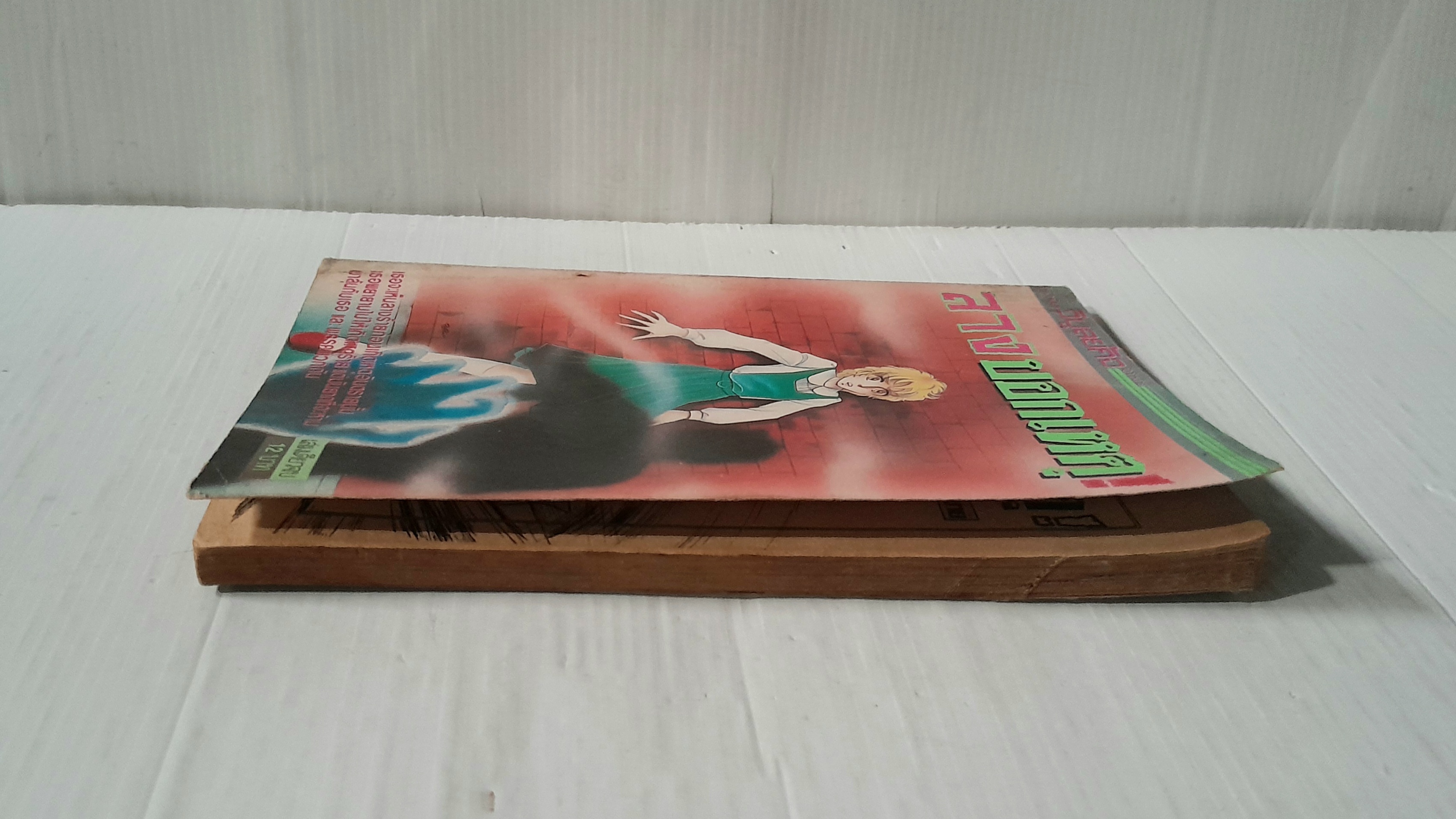 ลางบอกเหตุ (เล่มเดียวจบ)