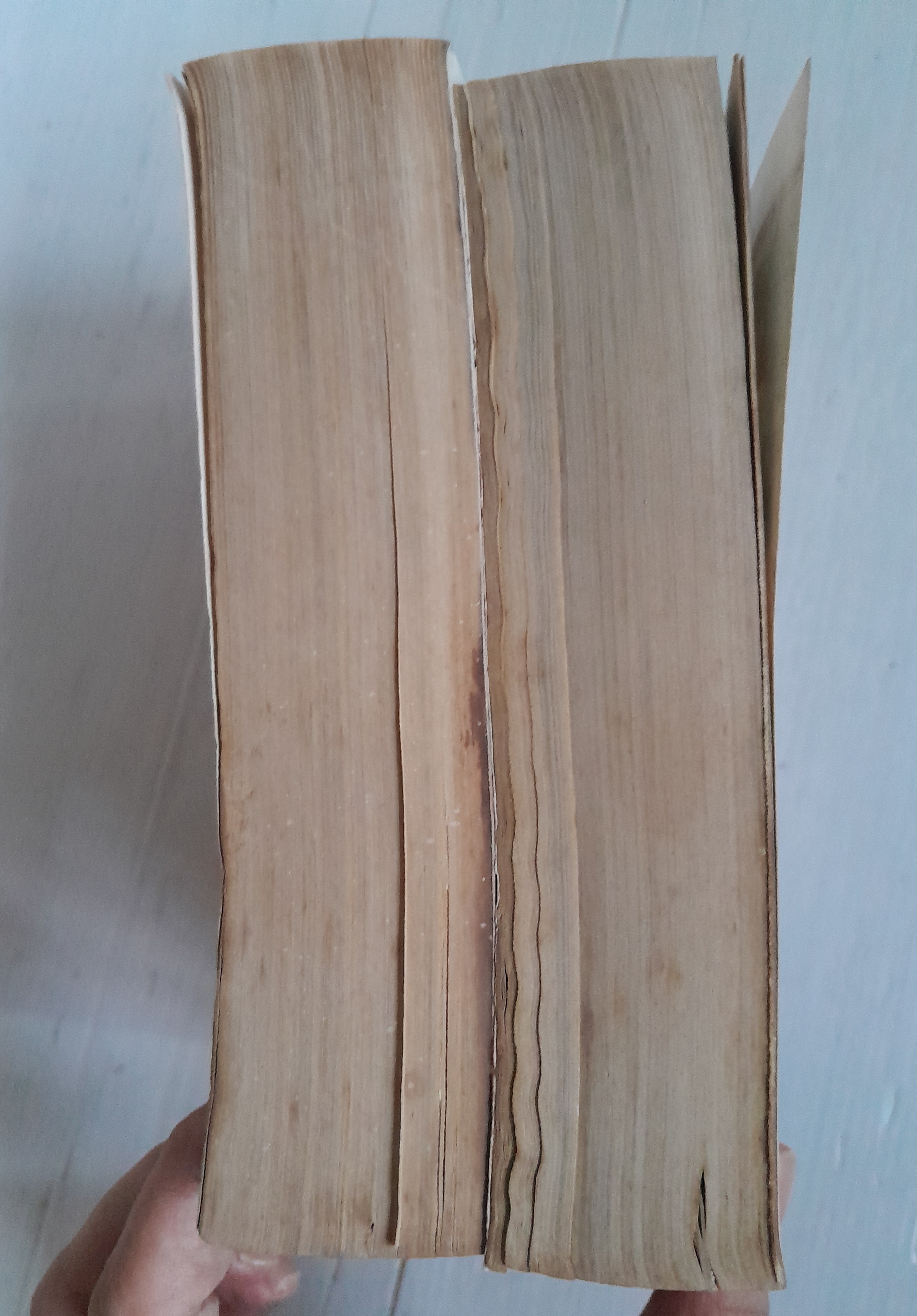 หักเหลี่ยมเซียน 2 เล่มจบ