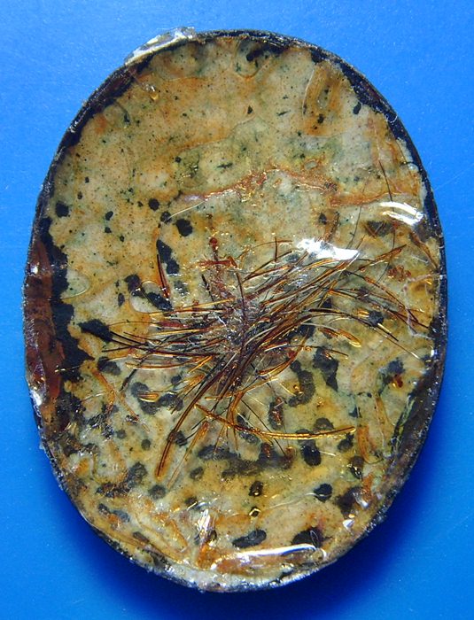 หลวงปู่มั่น ภูริทัตโต