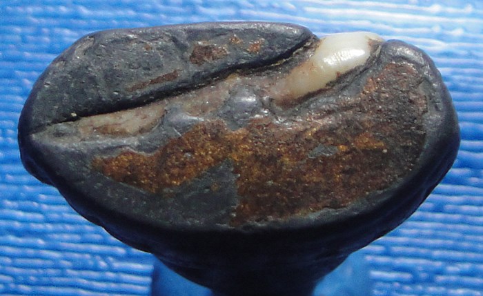 หลวงพ่อดำ วัดกุฎี