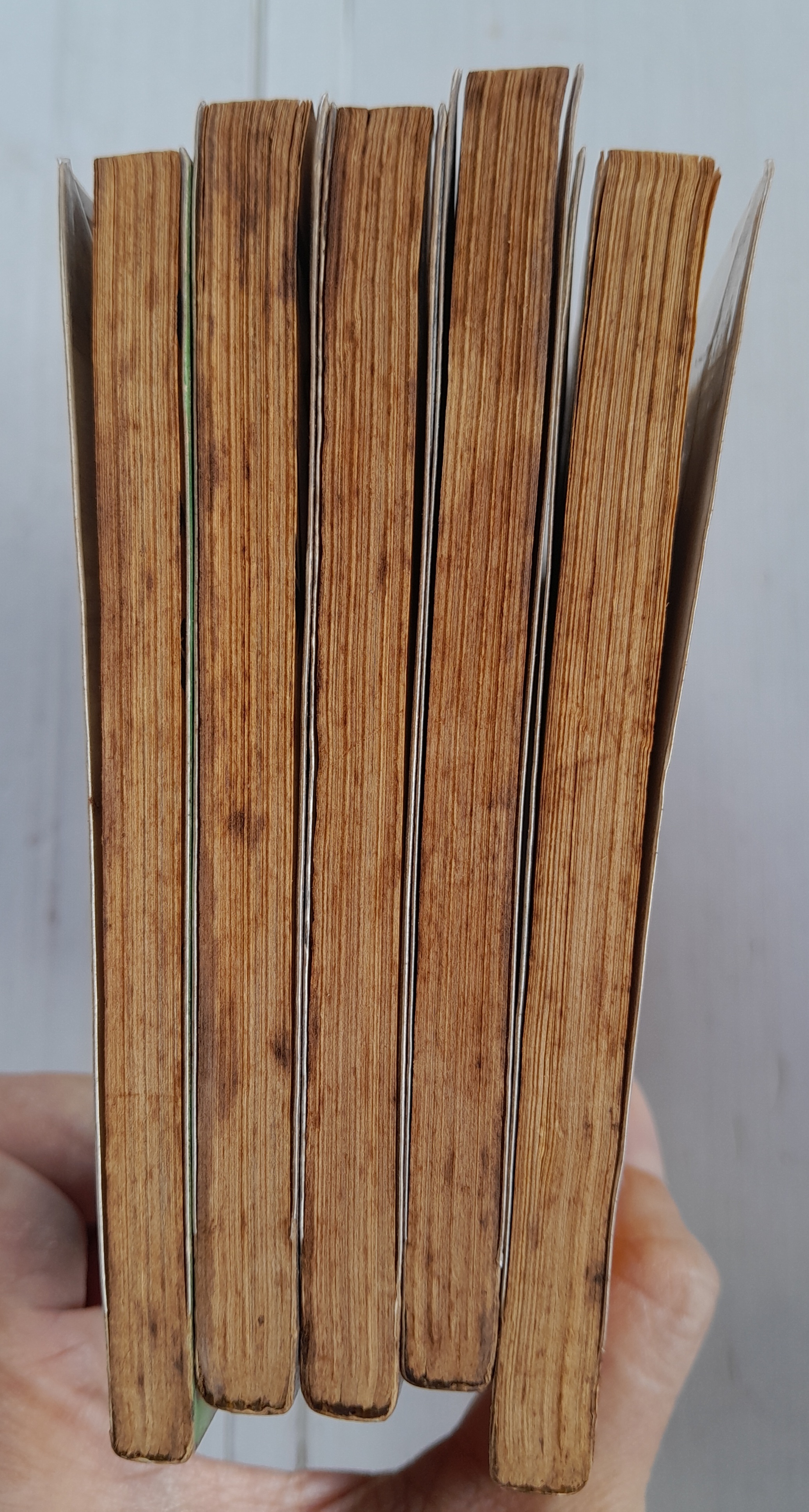 พยัคฆ์ร้ายกังฟู ภาค 2 (5 เล่มจบ) / Yoshima Yasuichi