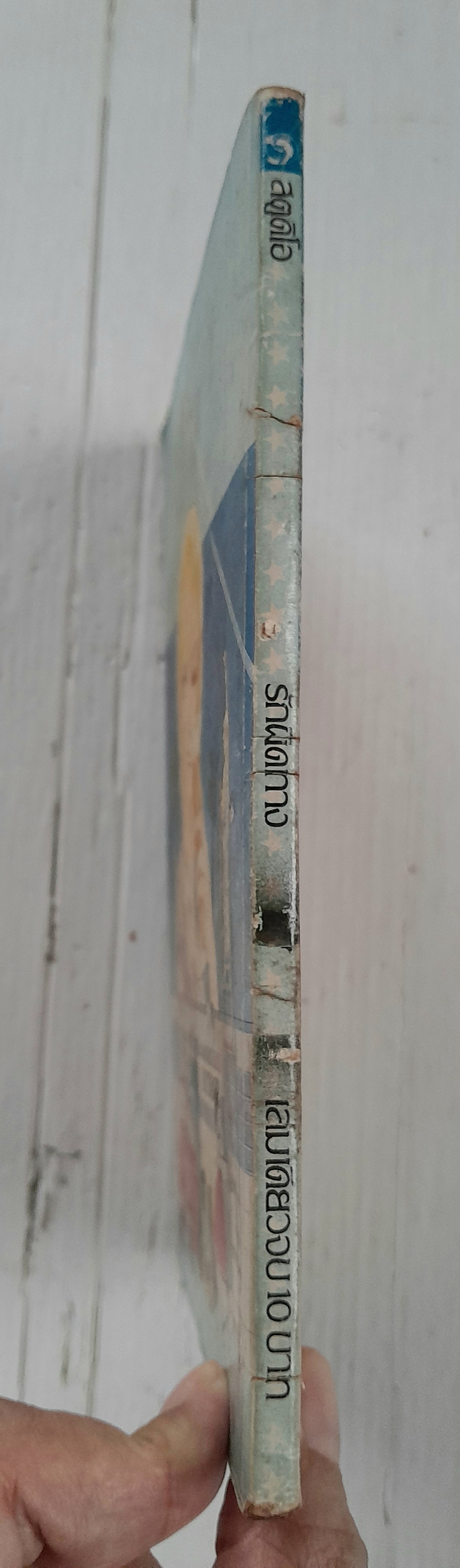 รักผิดทาง (เล่มเดียวจบ)