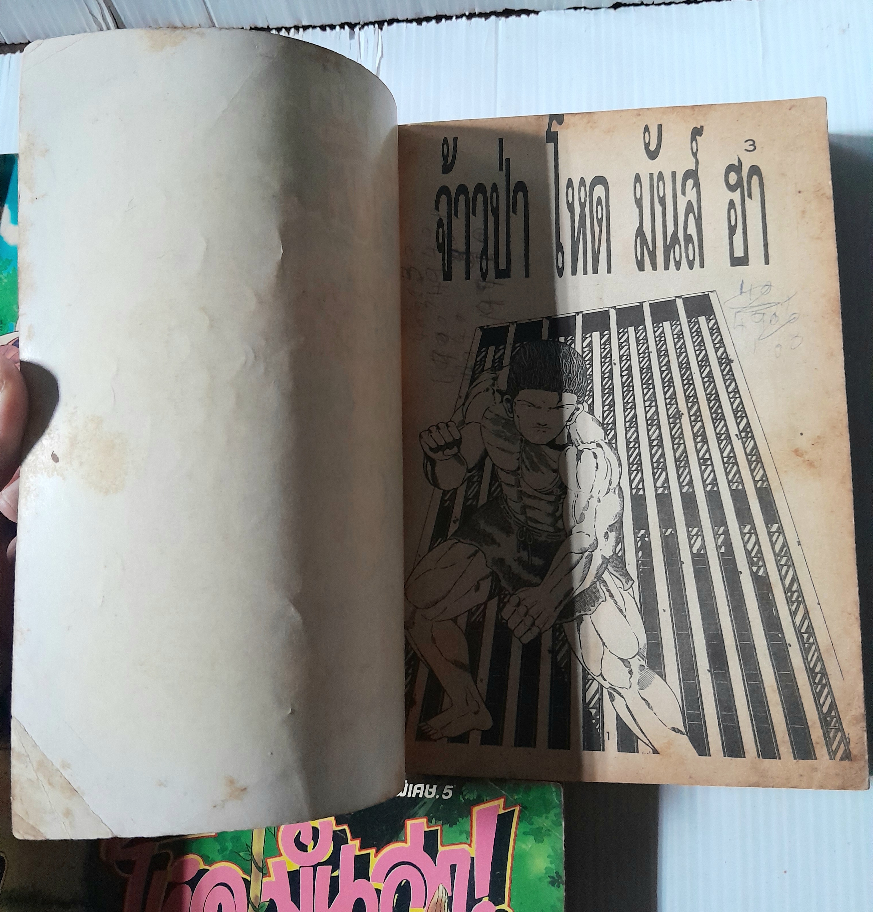 จ้าวป่า โหด มันส์ ฮา (ภาคพิเศษ) 5 เล่มจบ