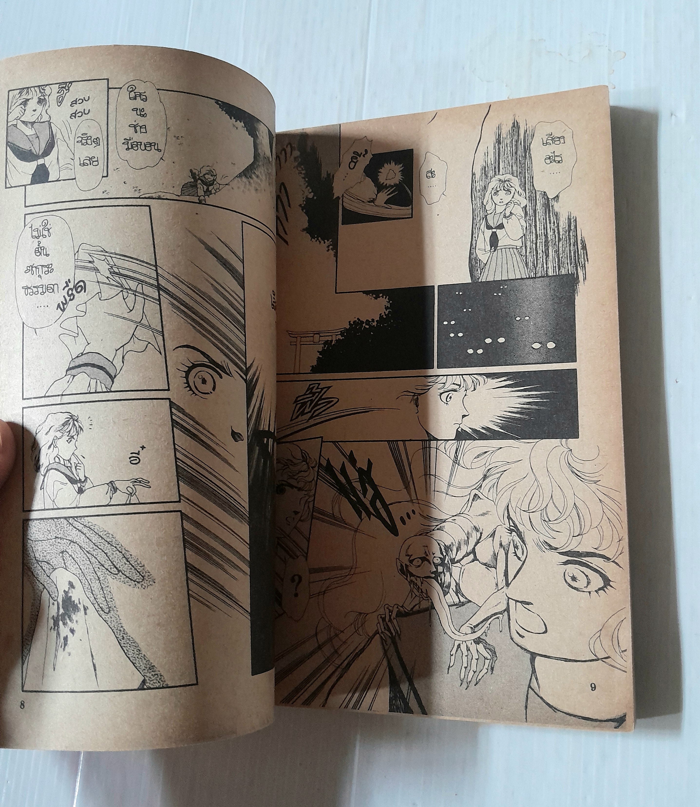 อาคิสึชิมะ นักสู้ลายมังกร เล่ม 1 (2 เล่มจบ) / Utsugi Toriko