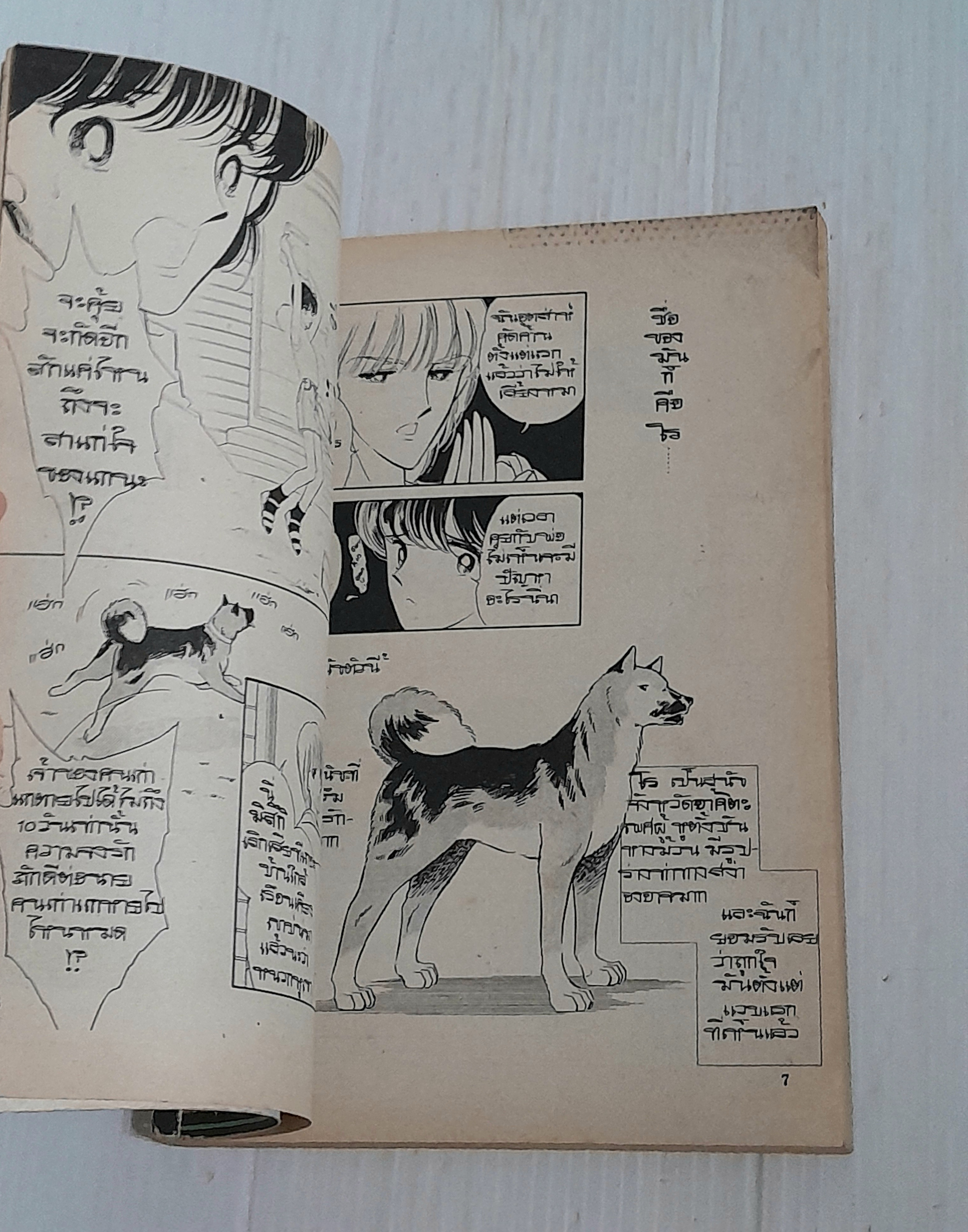 ฆ่าเพราะรัก (เล่มเดียวจบ) / Chinohara Chie