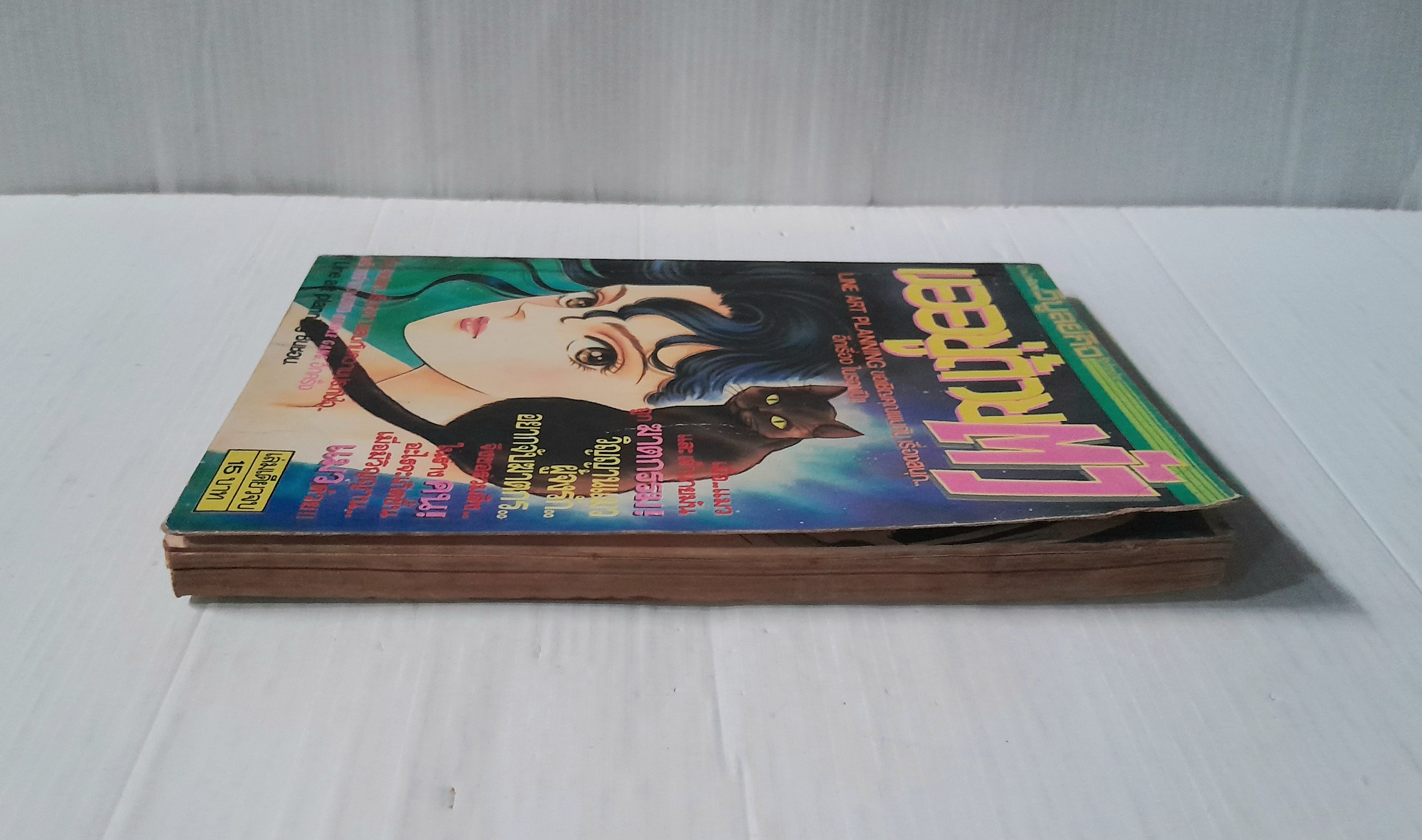 ขออยู่ด้วยตัว (เล่มเดียวจบ)