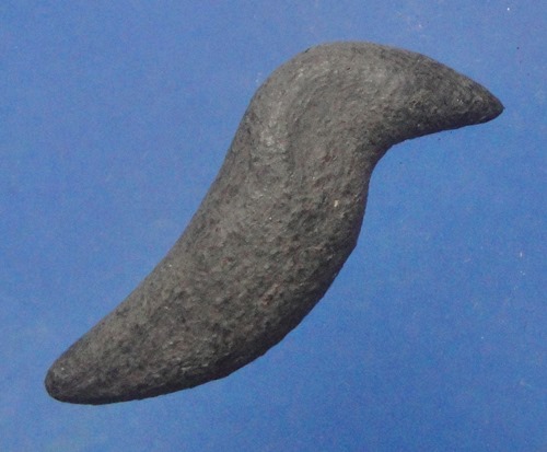 สาริกาเนื้อว่าน