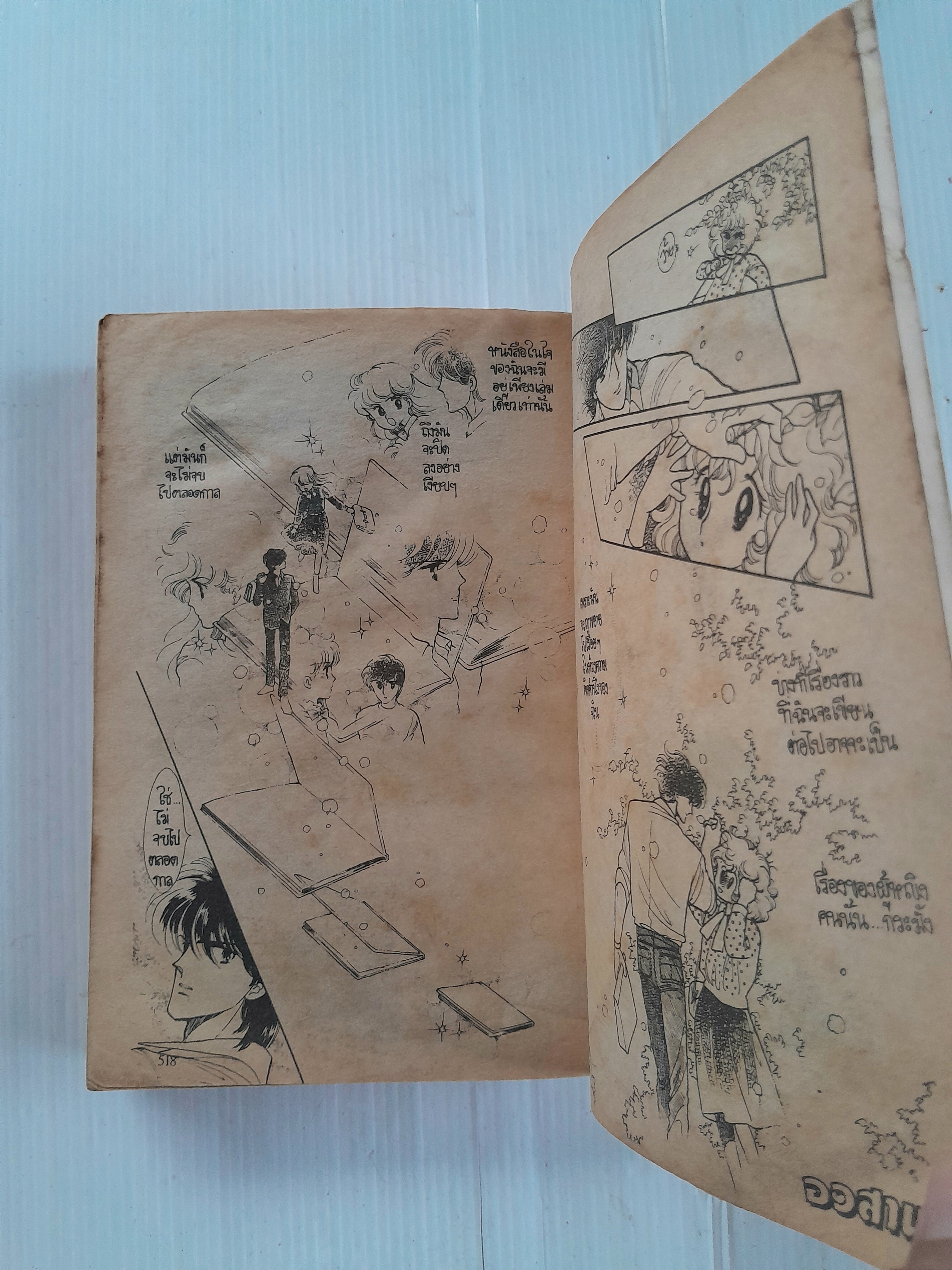 เมื่อสายลมรักพัดผ่าน (เล่มเดียวจบ) / ฮิคาวะ เคียวโกะ