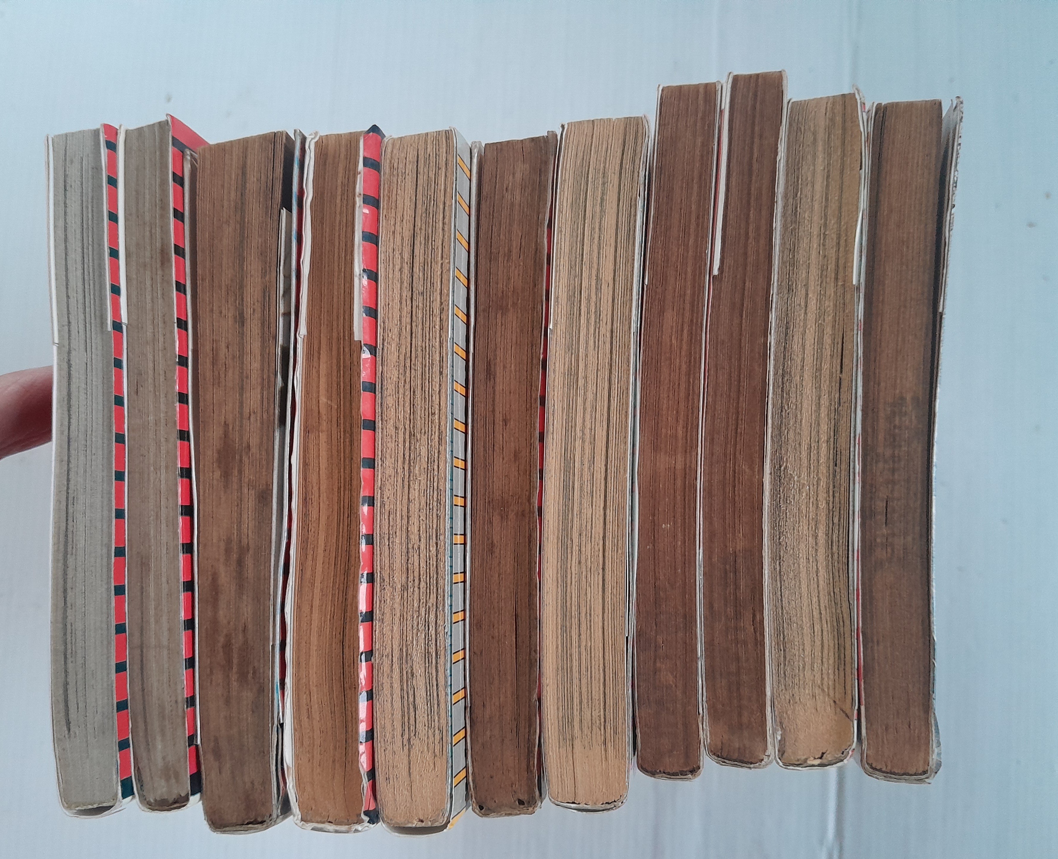 จอมคนแดนฝัน เล่ม 1-11 (14 เล่มจบ) / ฮิคาวะ เคียวโกะ