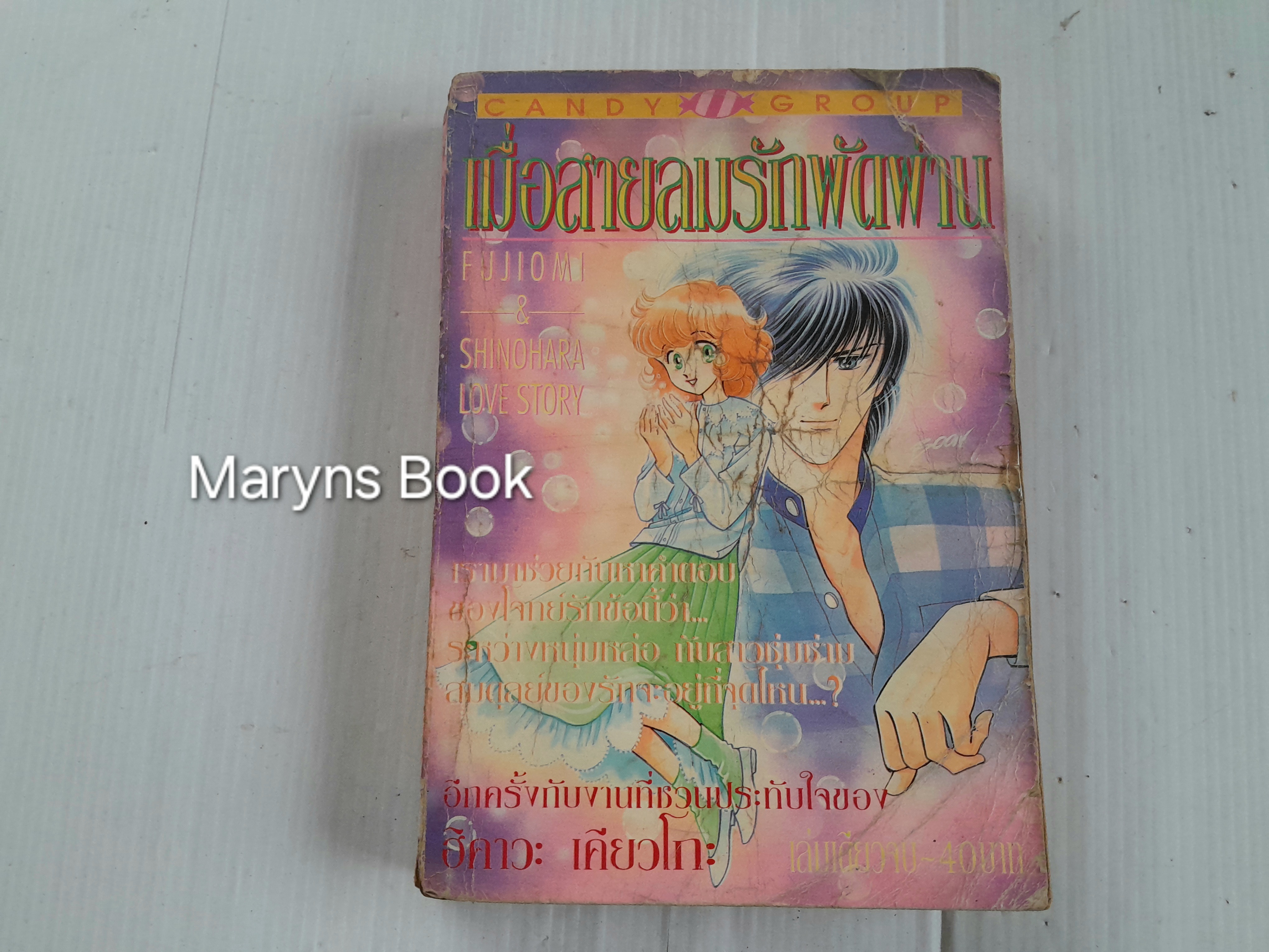 เมื่อสายลมรักพัดผ่าน (เล่มเดียวจบ) / ฮิคาวะ เคียวโกะ