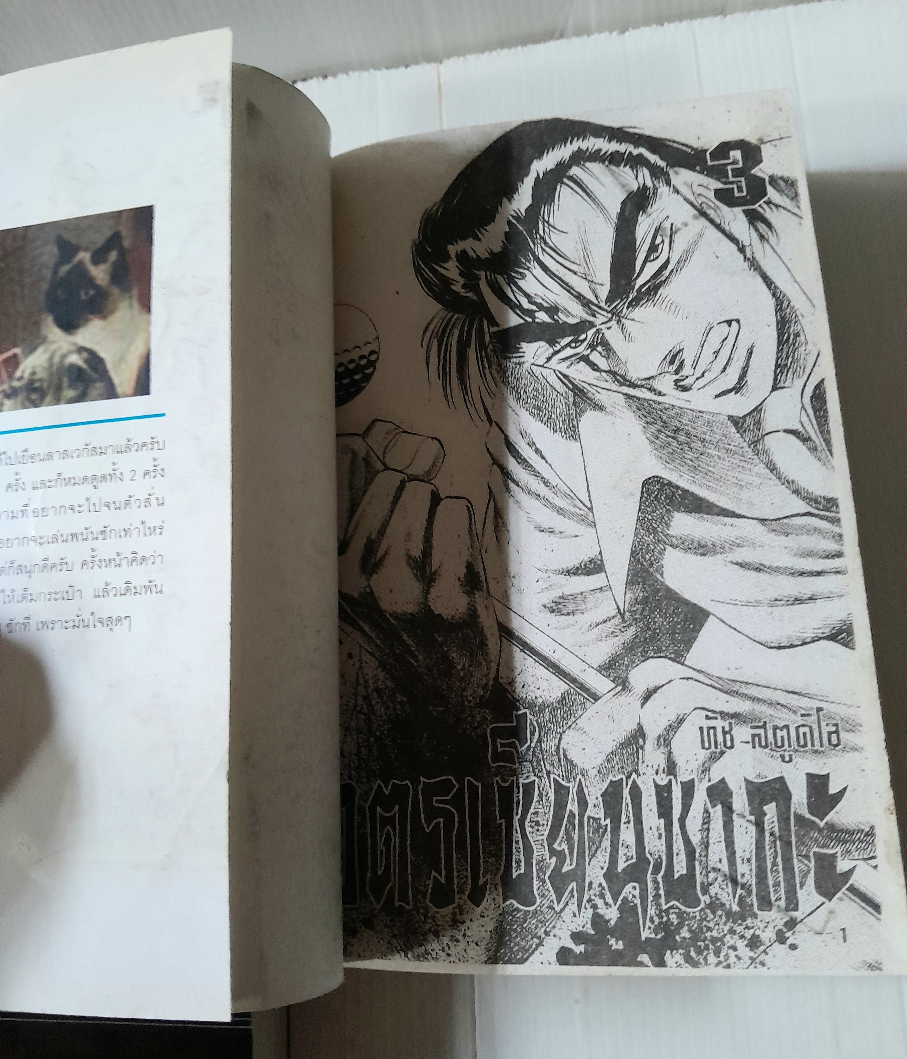 โคตรเซียนซากะ 4 เล่มจบ / Akira Miyashita