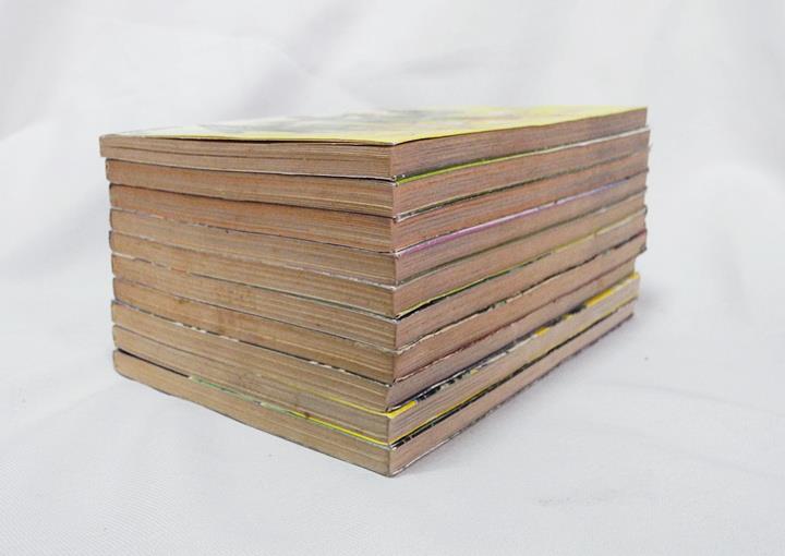 โกโต้ประธานเลือดเดือด