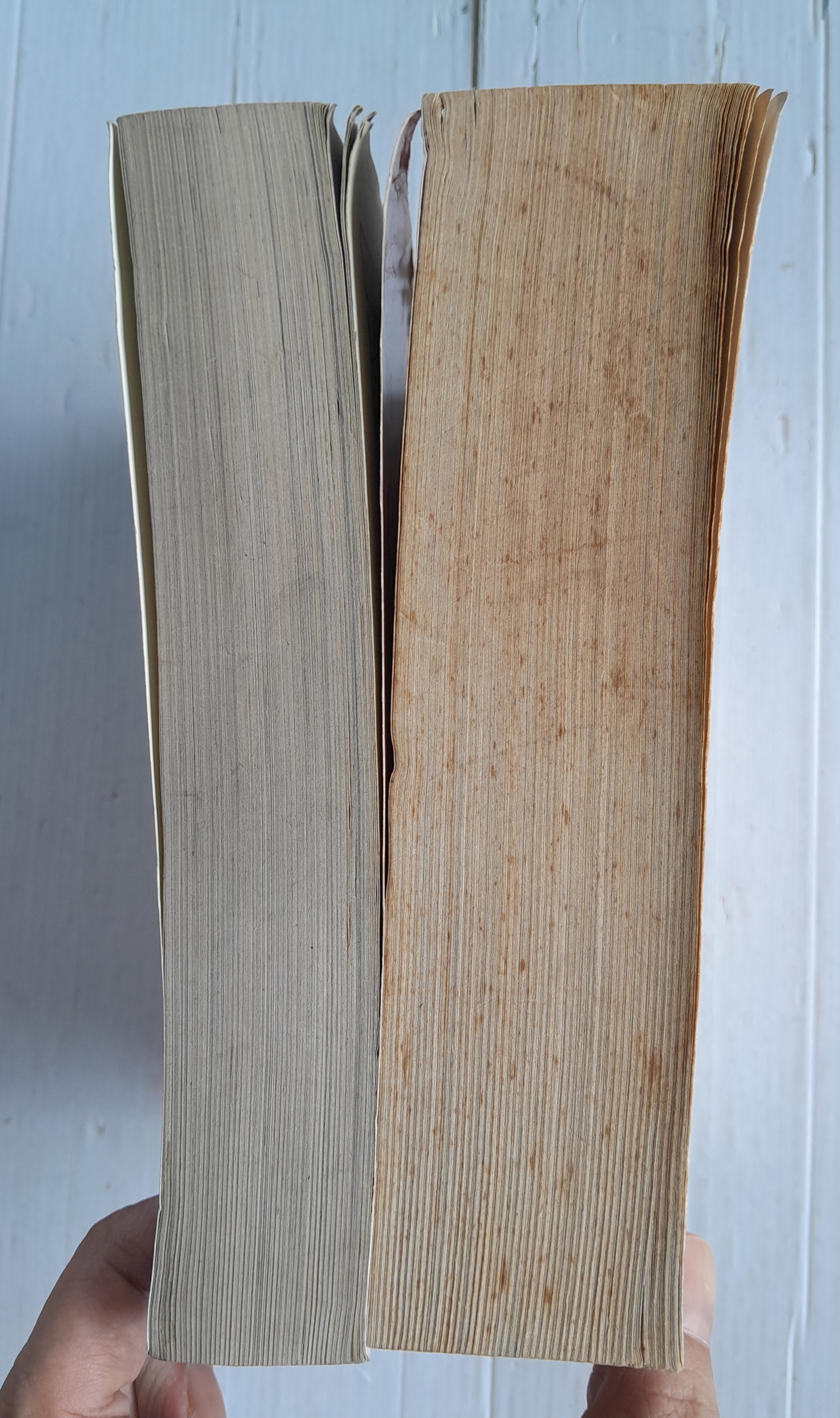 ซันชิโร่x2 (2เล่มจบ) / SHOUTA KIKUCHI