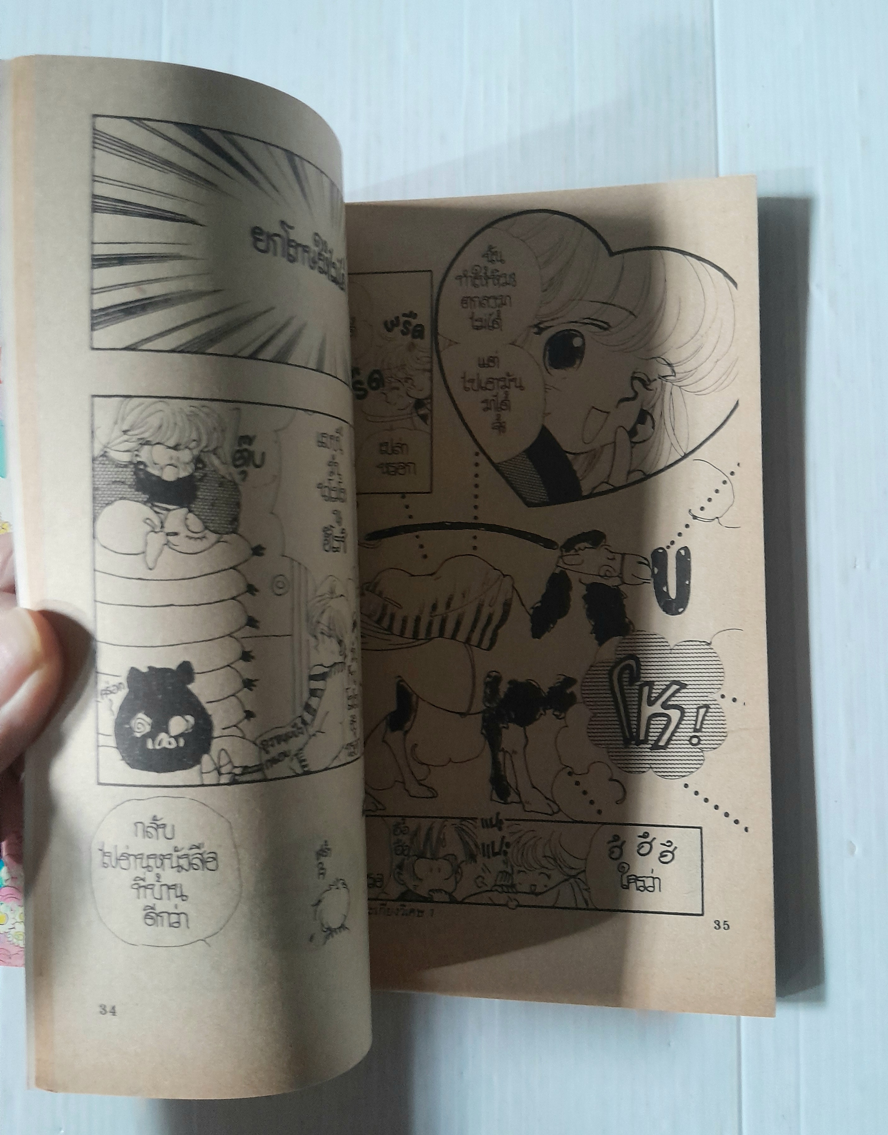 สาวน้อยตะเกียงวิเศษ 2 เล่มจบ / Hajiiwa Mutsumi