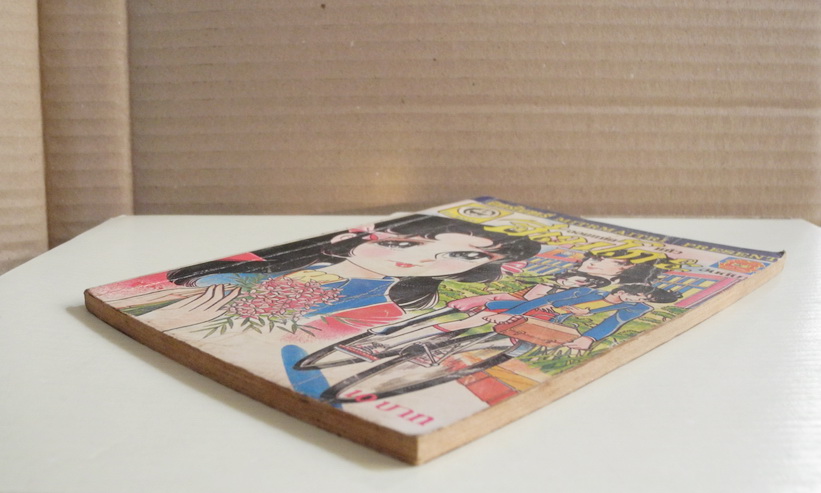 จอมแก่นแก้ว ฮิเมโกะ อันดับ 17 / Fujiwara Eiko