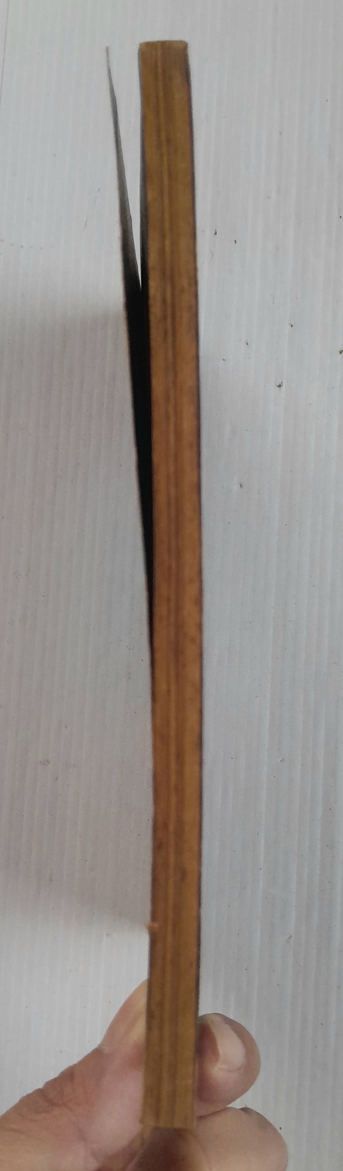 พายุรัก (เล่มเดียวจบ) / ชิโยจิ โยโกะ