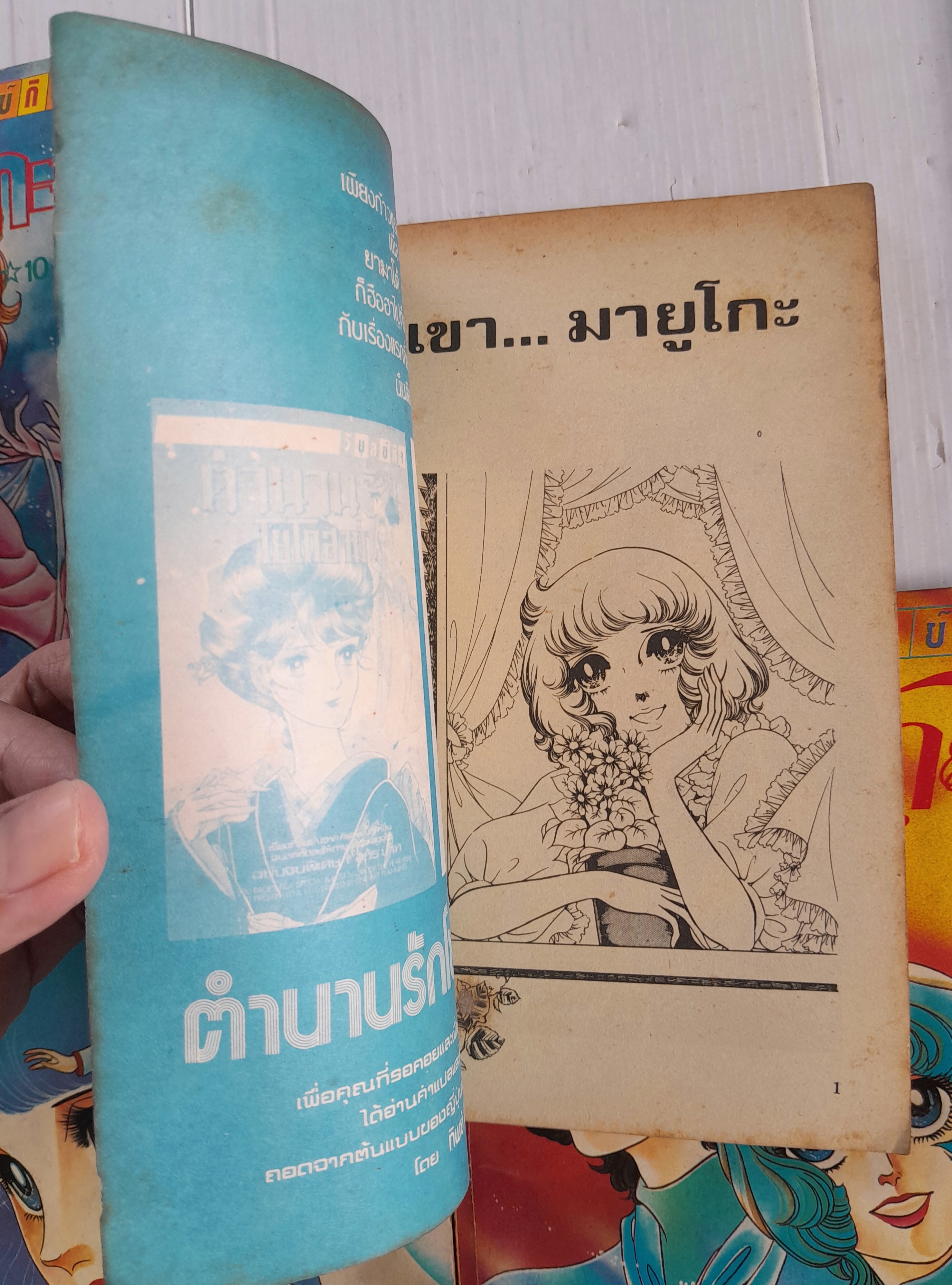 สู้เขามายูโกะ 8 เล่มจบ / ชิบาตะ อายูโกะ