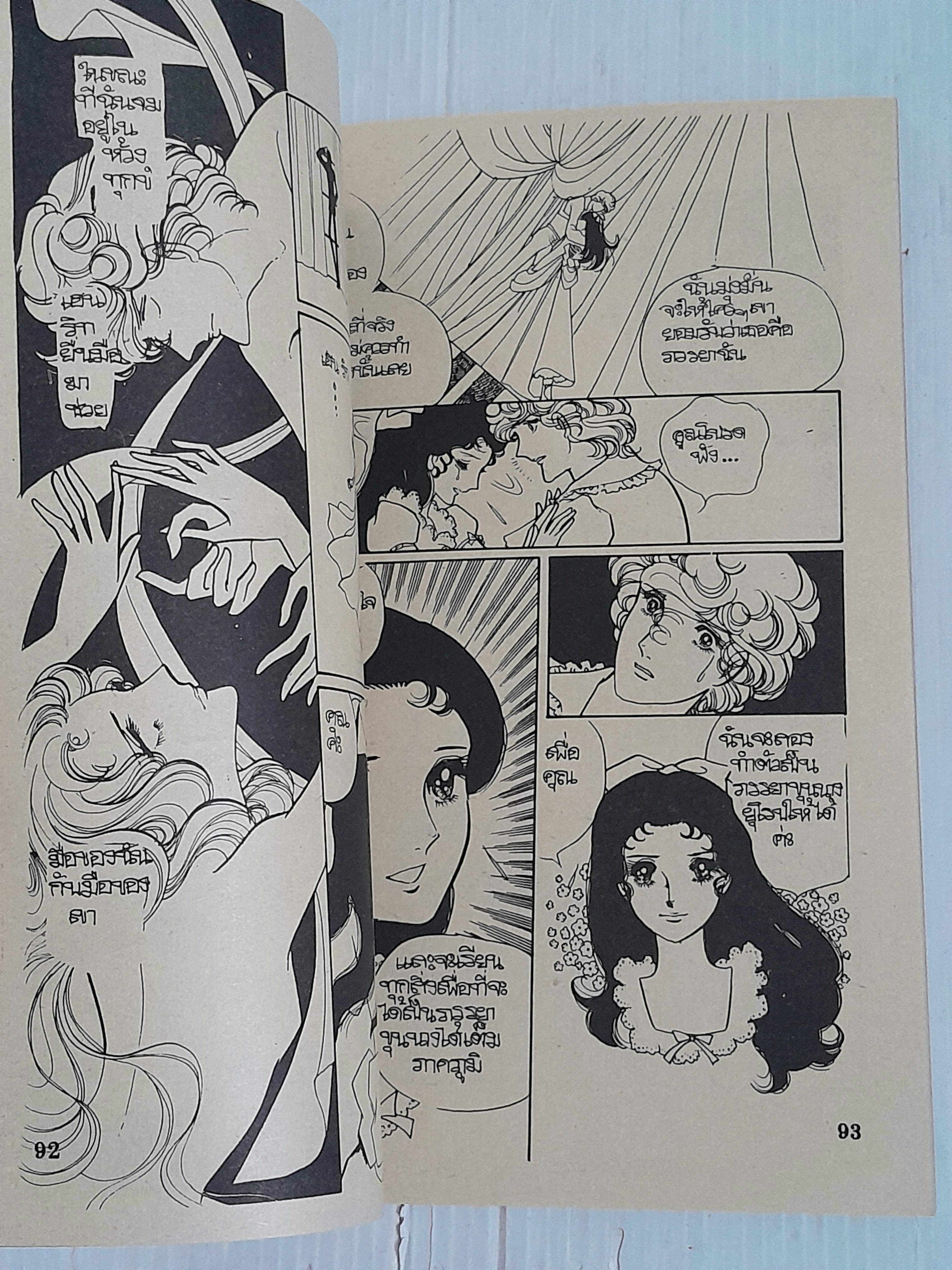 เลดี้มิซึโกะ (เล่มเดียวจบ) / Yamato Waki