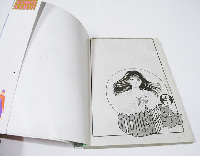 สาวแกร่งแรงเกินร้อย 36 เล่มจบ