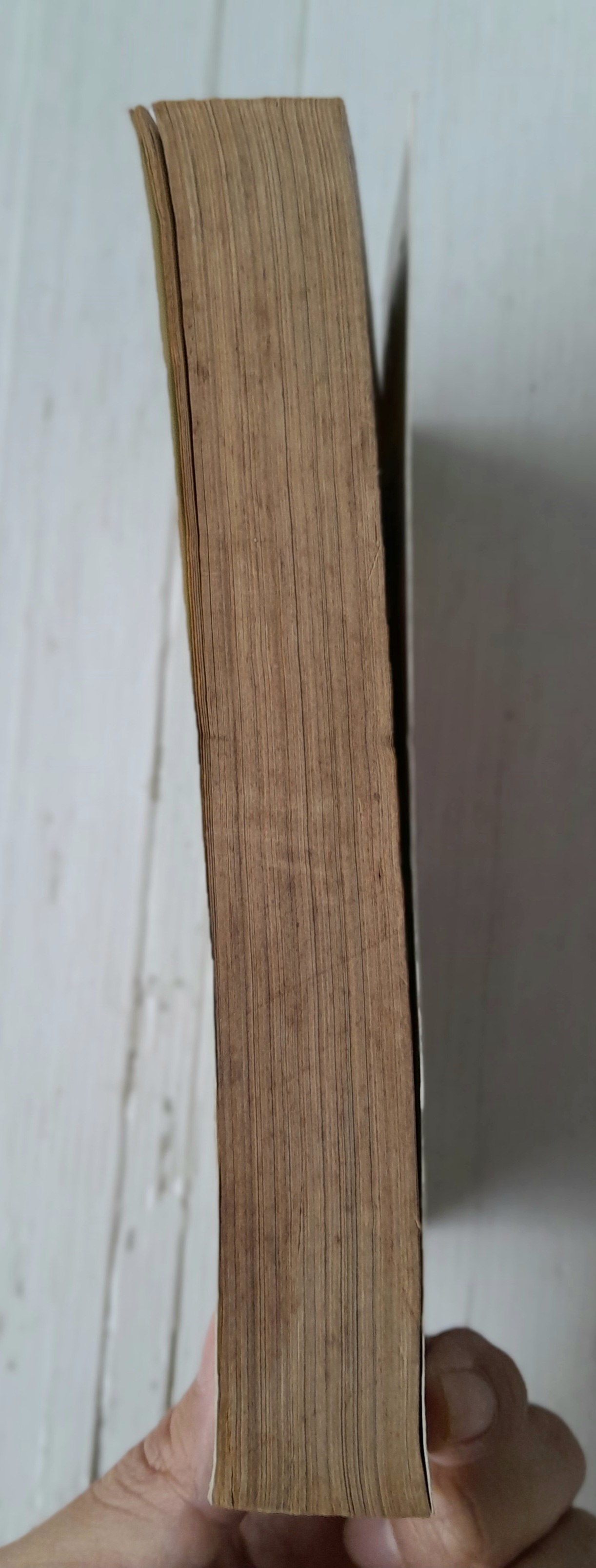 ล่า! หุ่นมรณะ ภาค 2 (เล่มเดียวจบ) / ฟูจิตะ คาสึฮิโระ